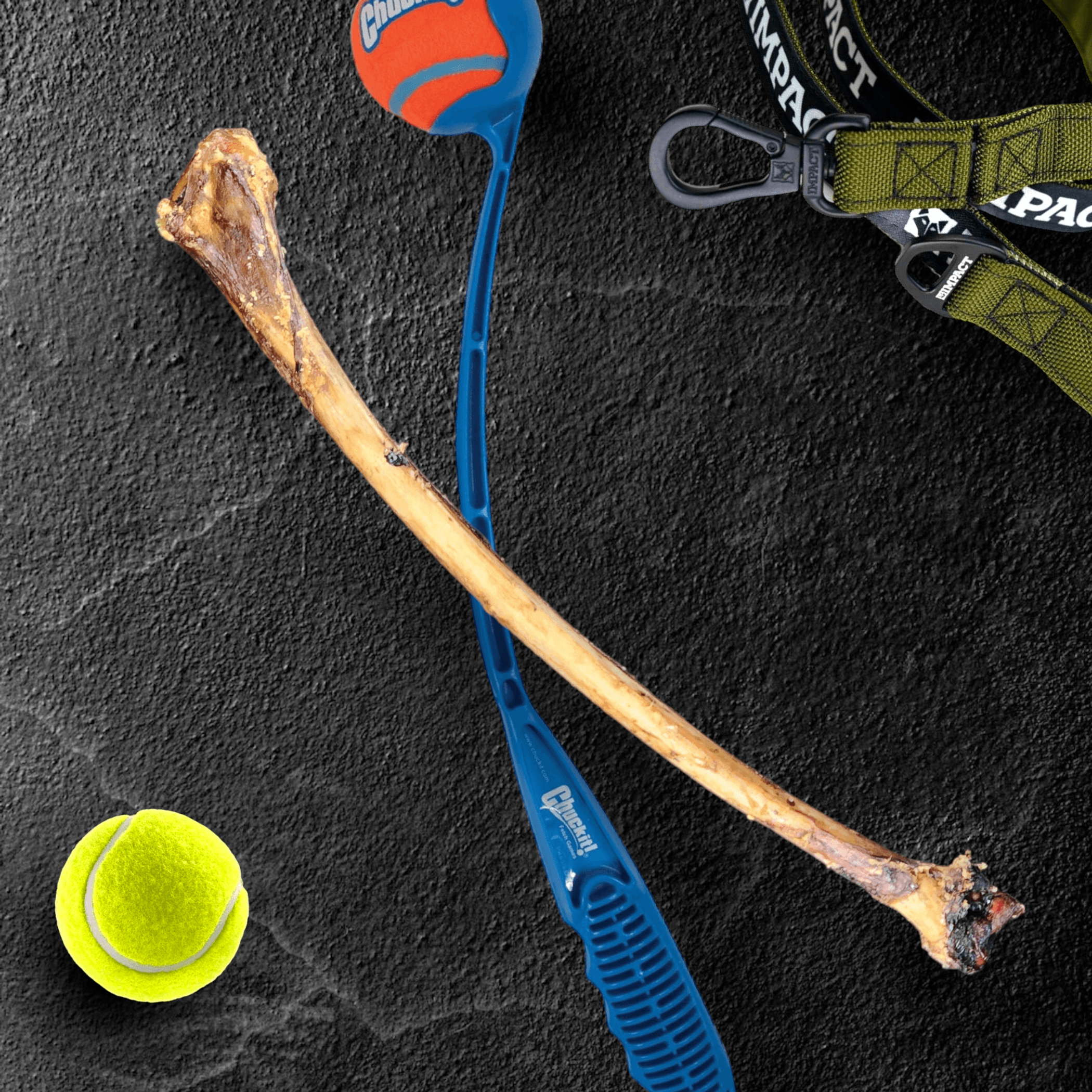 Ostrich Wing Bone : The Ultimate Long-Lasting Chew for Small Dogs & Light Chewers Image 1