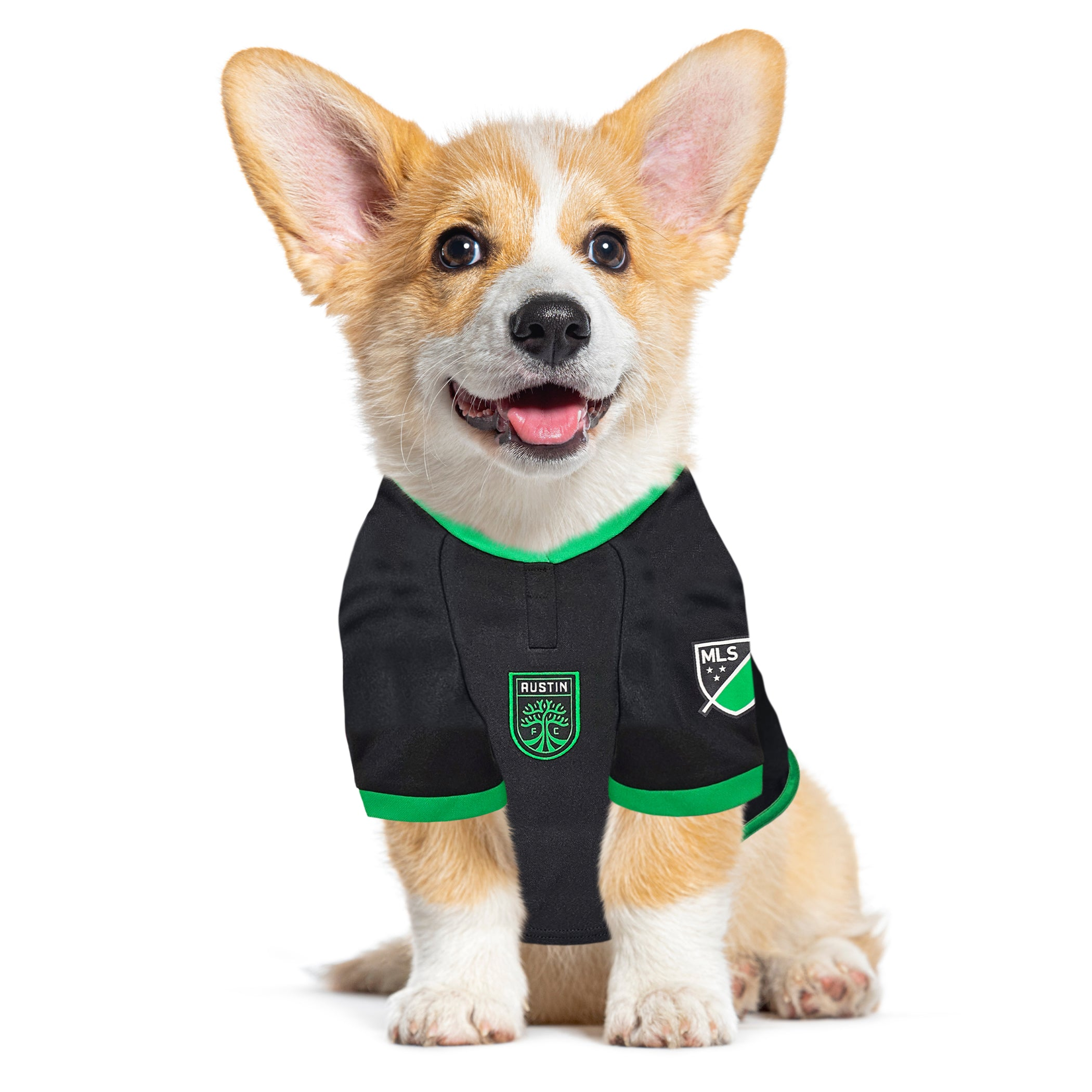 Austin FC Pet Jersey Image 1