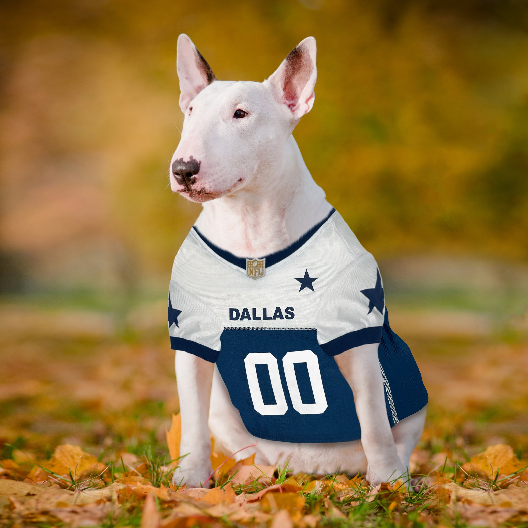 Dallas Cowboys Throwback Jersey Image 1