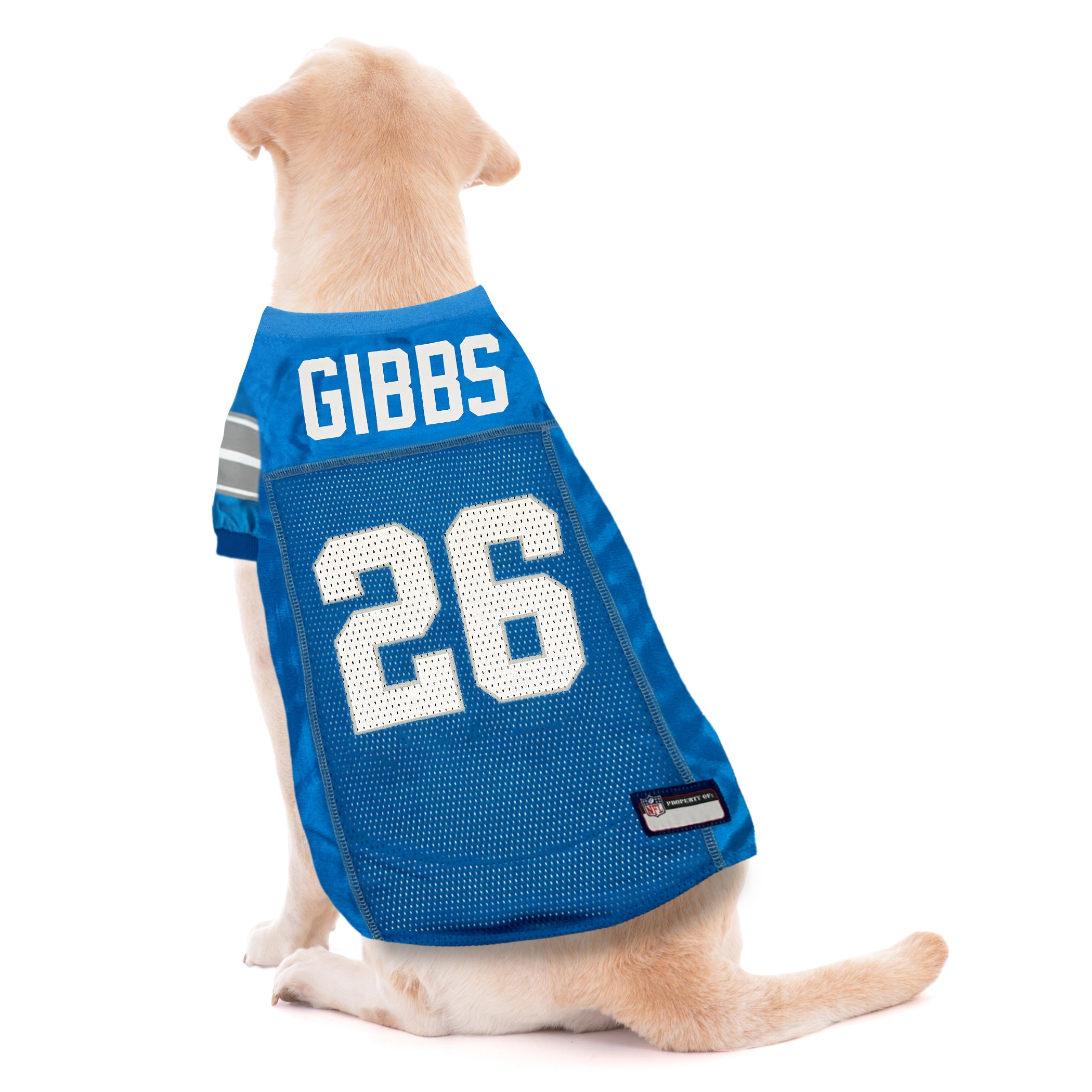 Jahmyr Gibbs Pet Striped Jersey (Det) Image 1