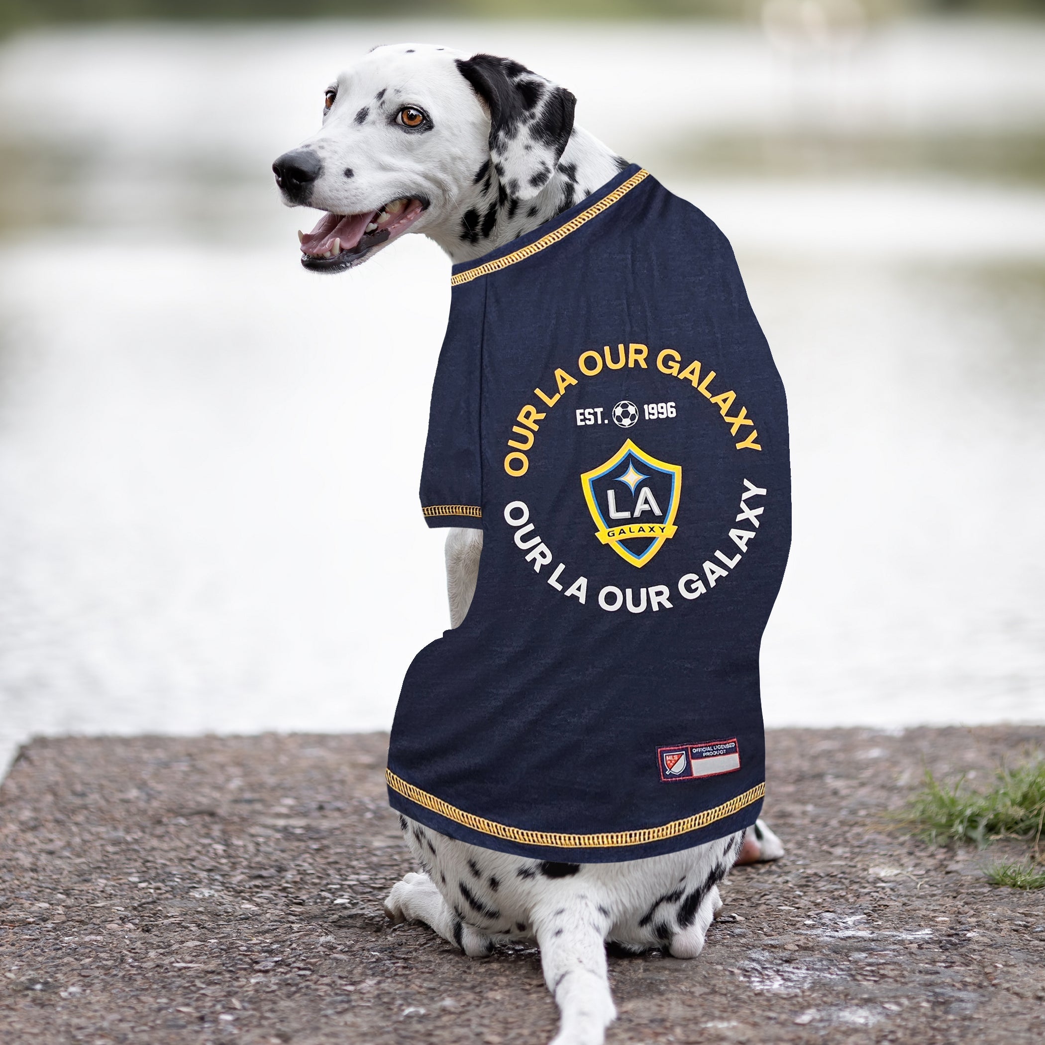 LA Galaxy Pet Tee Shirt Image 1