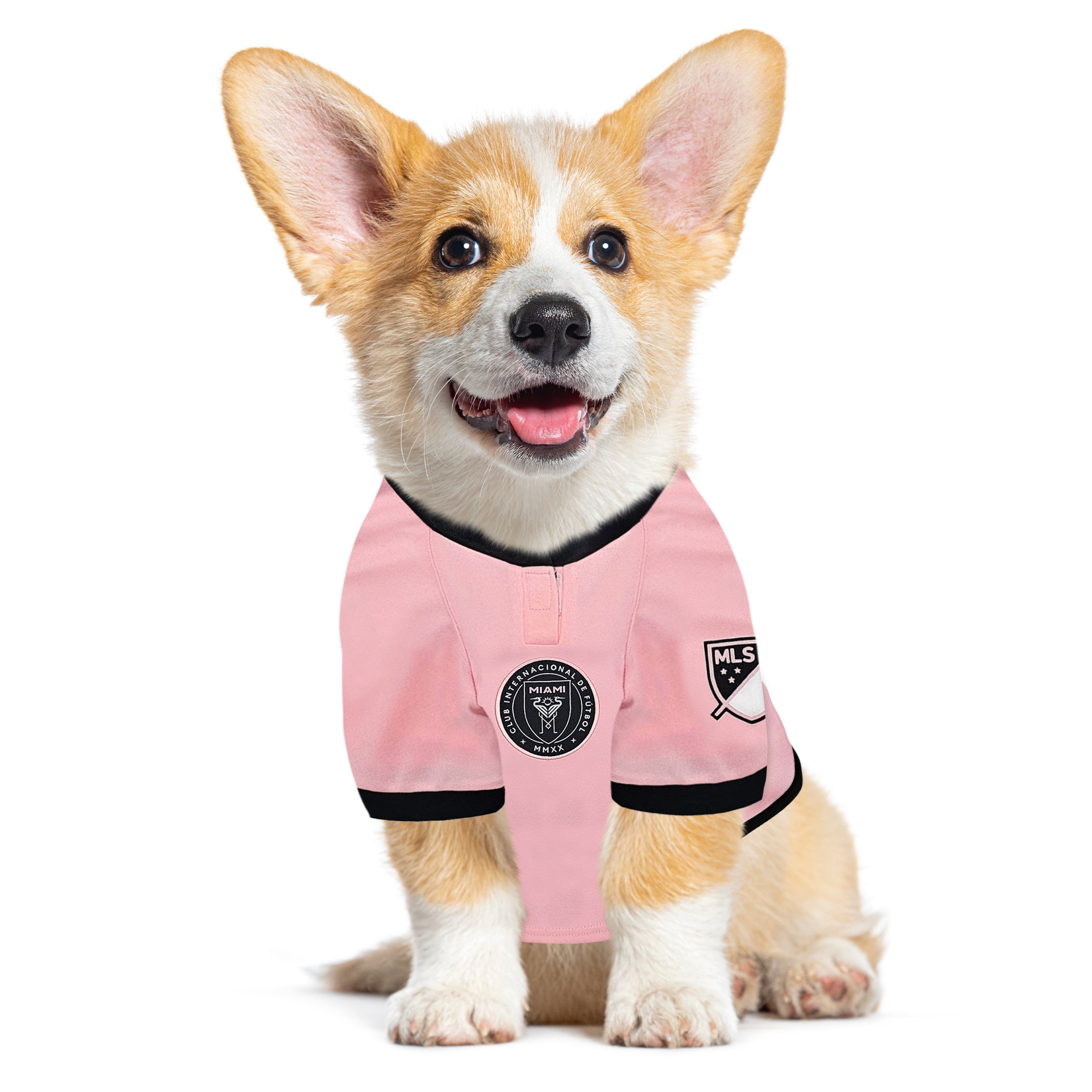 Lionel Messi Player Pet Jersey (IMC) Image 1