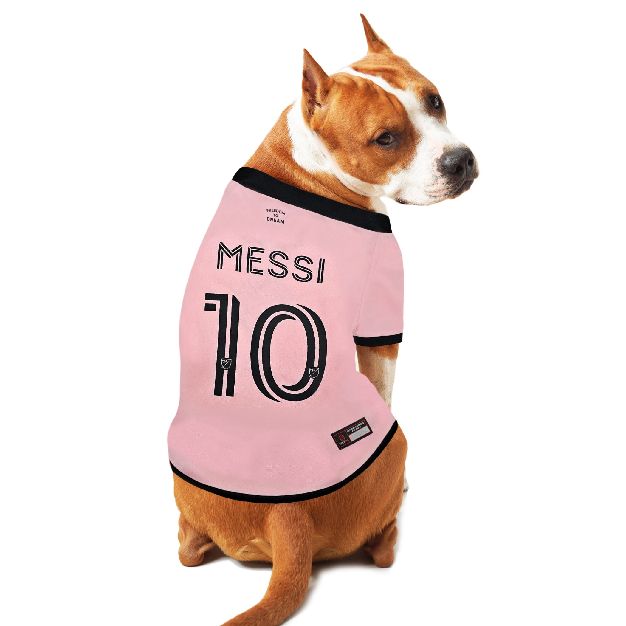 Lionel Messi Player Pet Jersey (IMC) Image 1