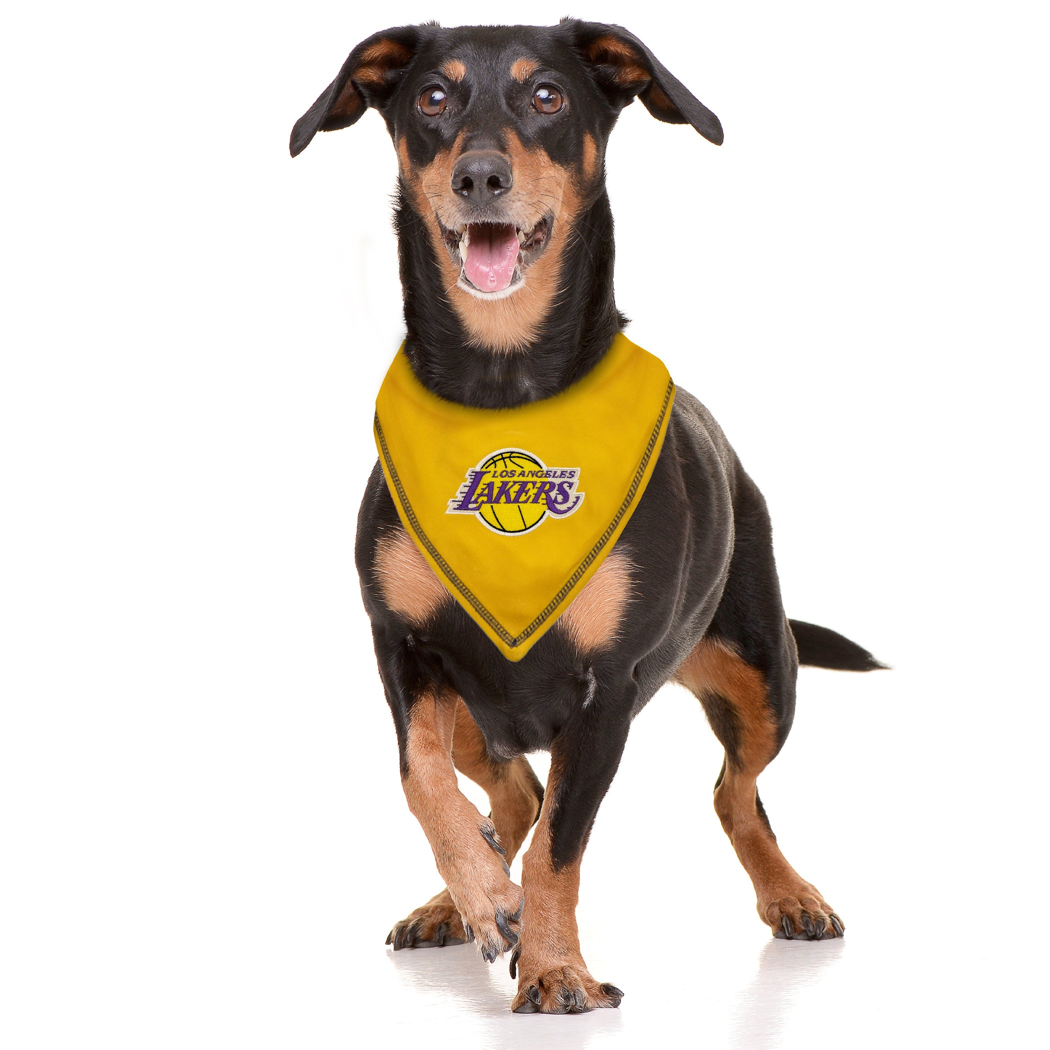 DALLAS MAVERICKS TIE AROUND BANDANA Image 1