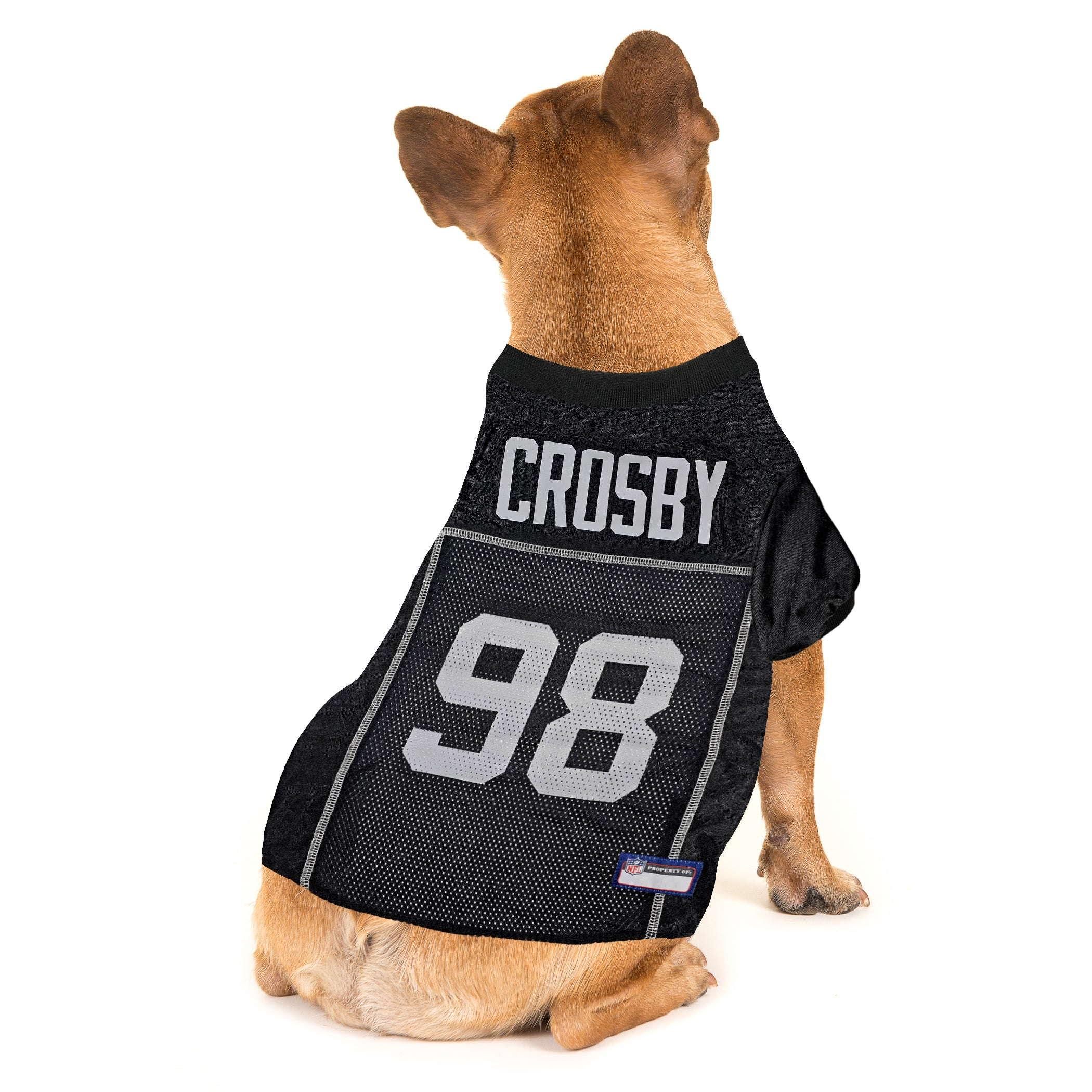 Maxx Crosby Pet Striped Jersey (Oak) Image 1
