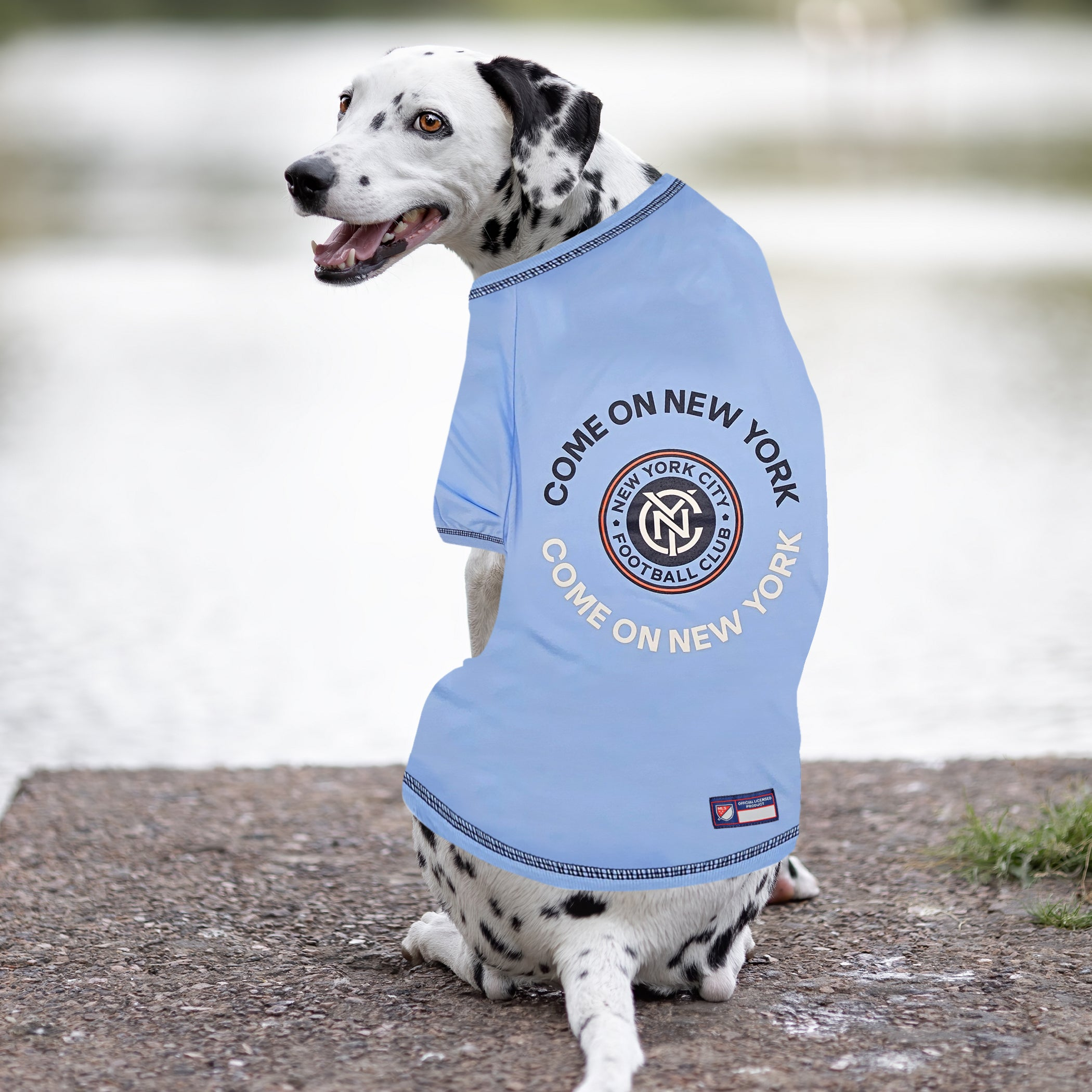 New York City FC Pet Tee Shirt Image 1