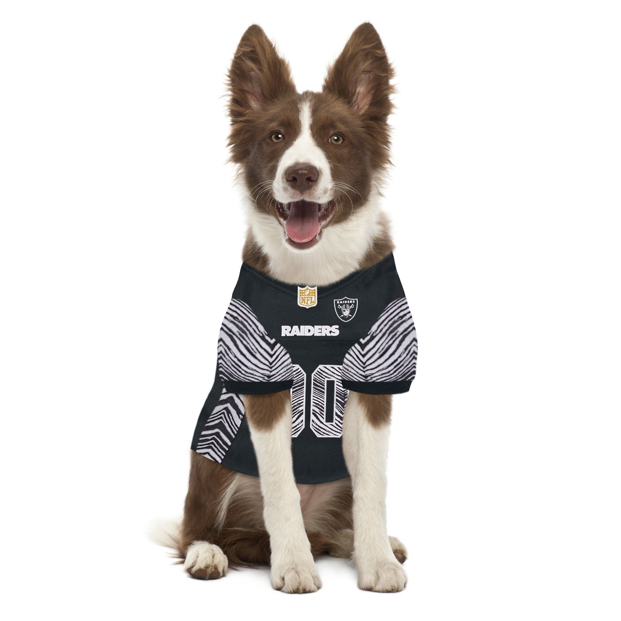 Las Vegas Raiders Zubaz Pet Jersey Image 1