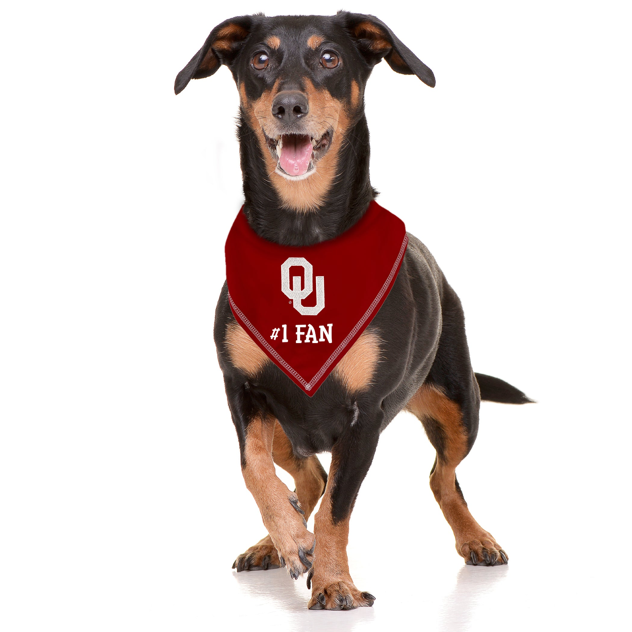 OKLAHOMA TIE AROUND BANDANA Image 1