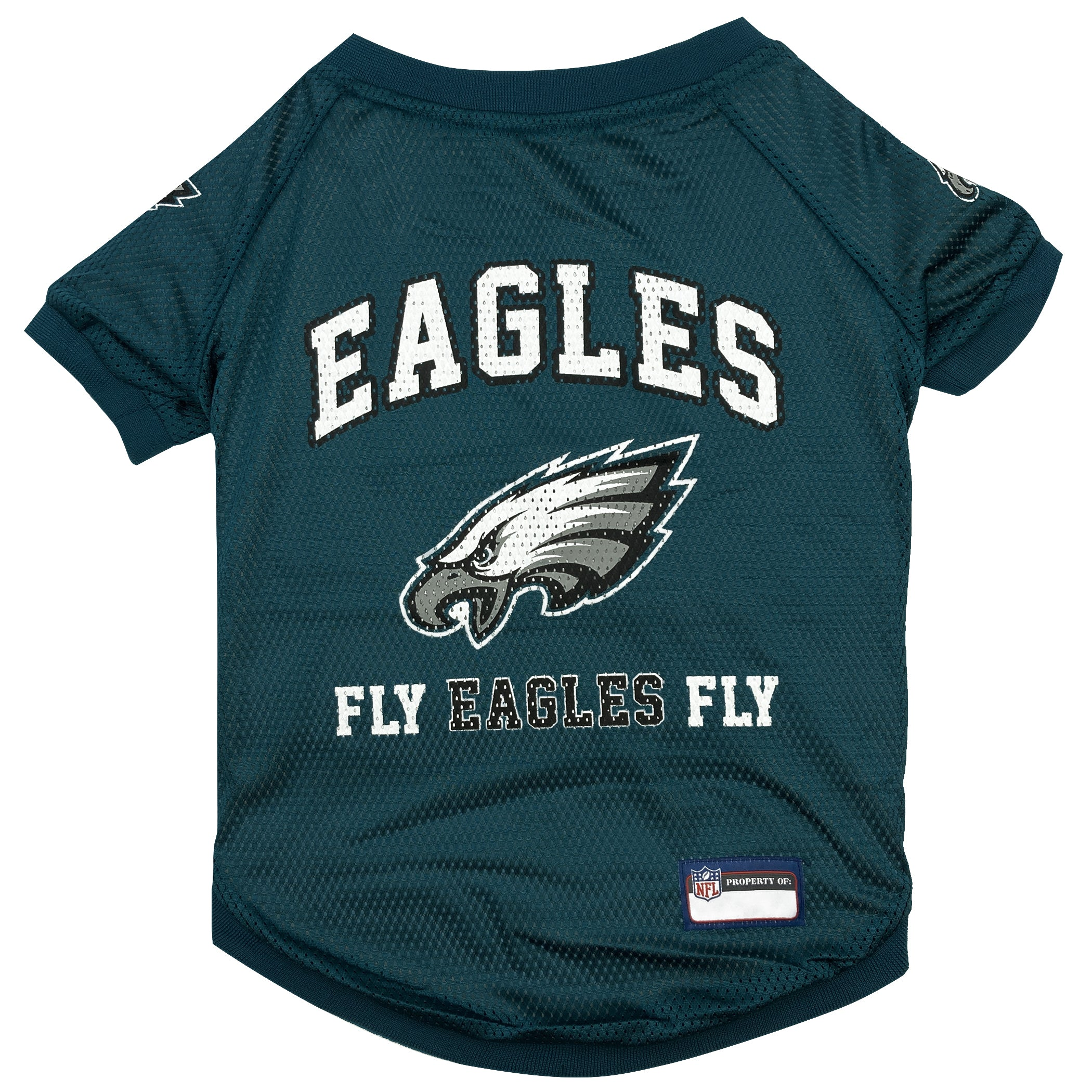 Philadelphia Eagels Raglan Jersey Image 1