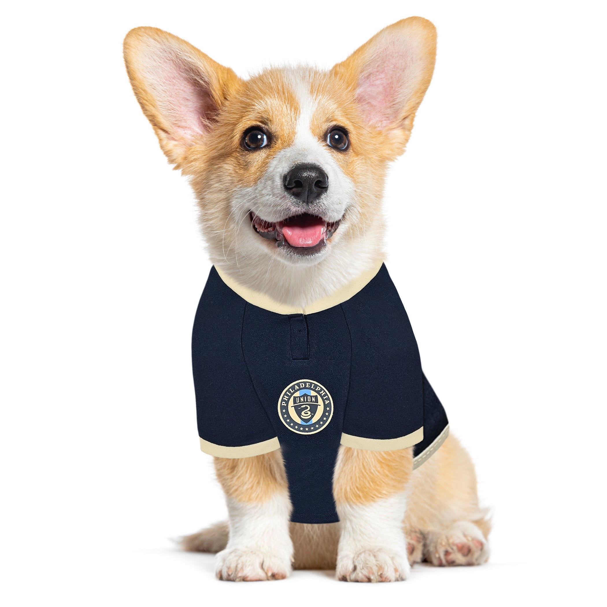 Philadelphia Union Pet Jersey Image 1