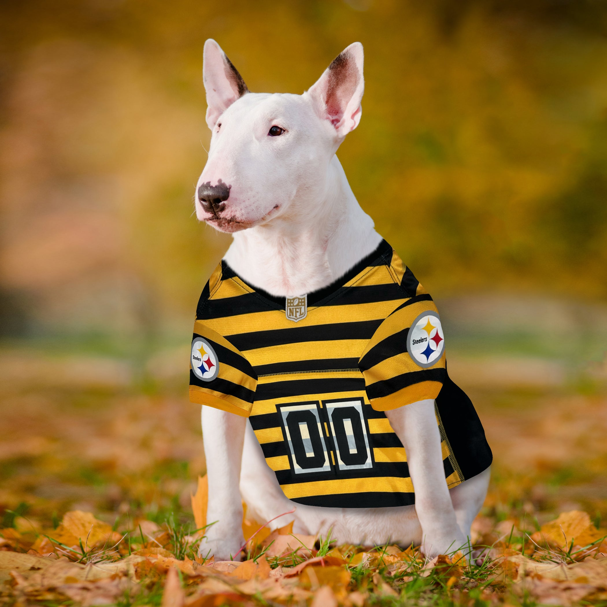 Pittsburgh Steelers Bumble Bee Throwback Jersey Image 1