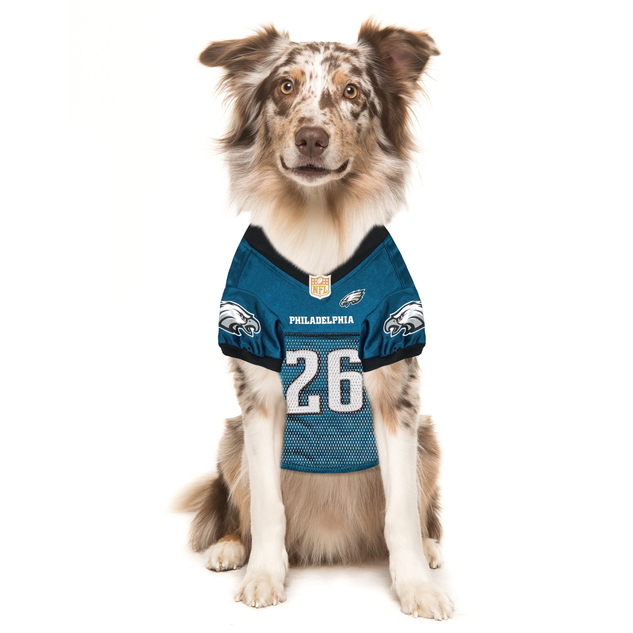 SAQUON BARKLEY PLAYER PET JERSEY (PHL) Image 1