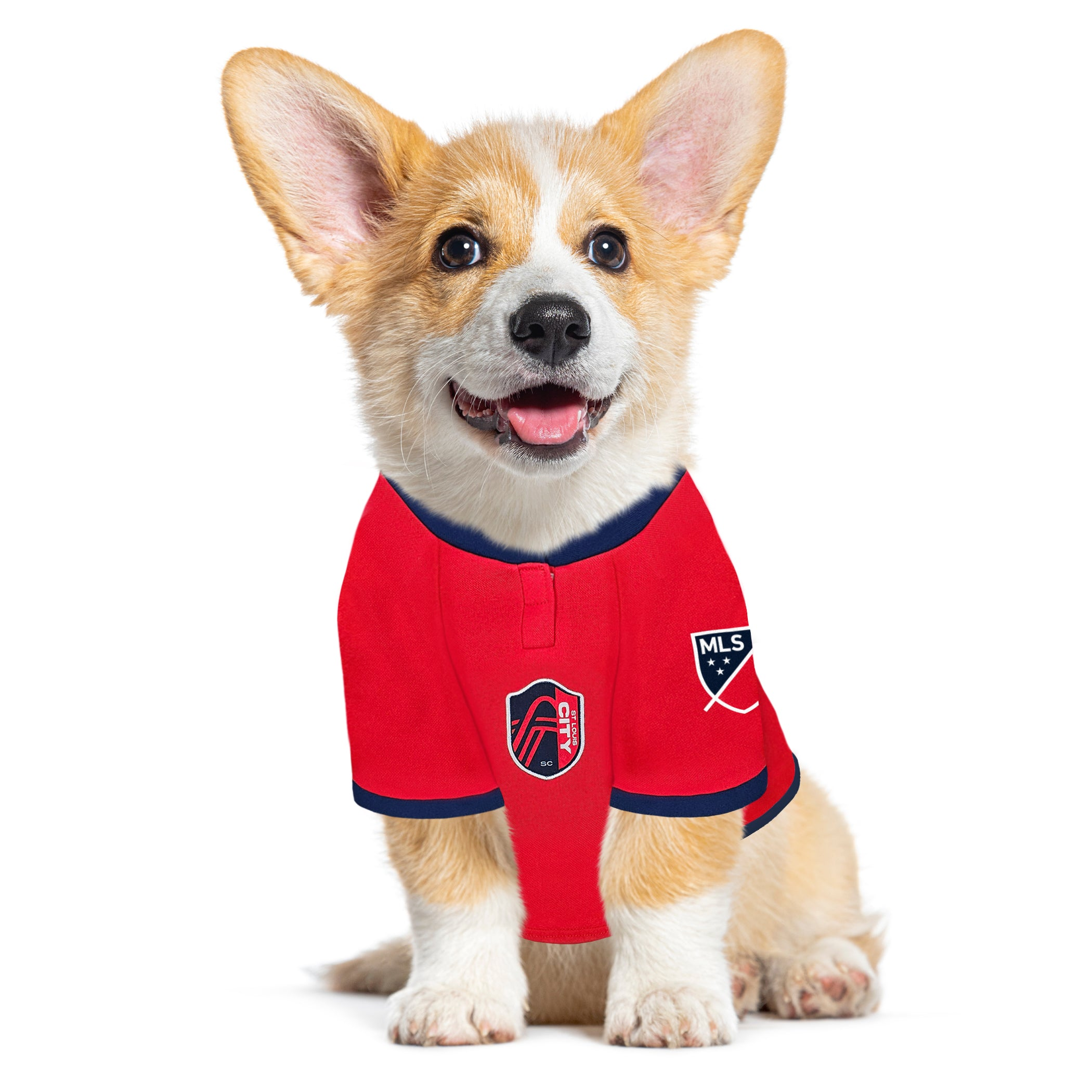 St. Louis SC Pet Jersey Image 1
