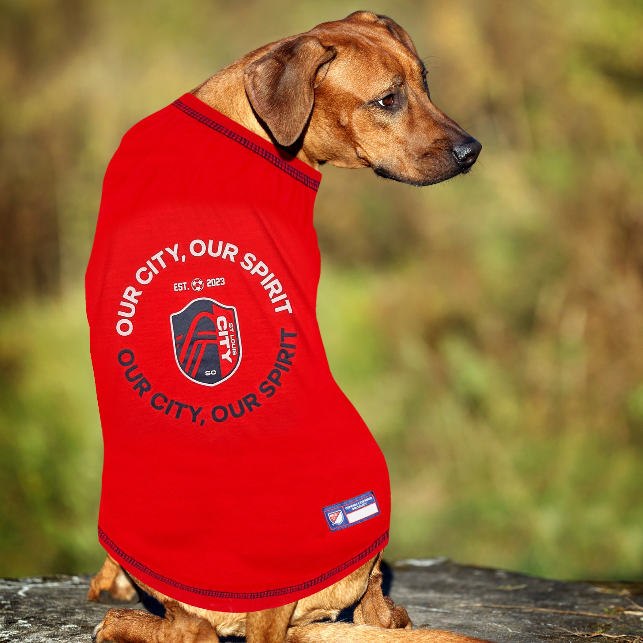 St. Louis SC Pet Tee Shirt Image 1