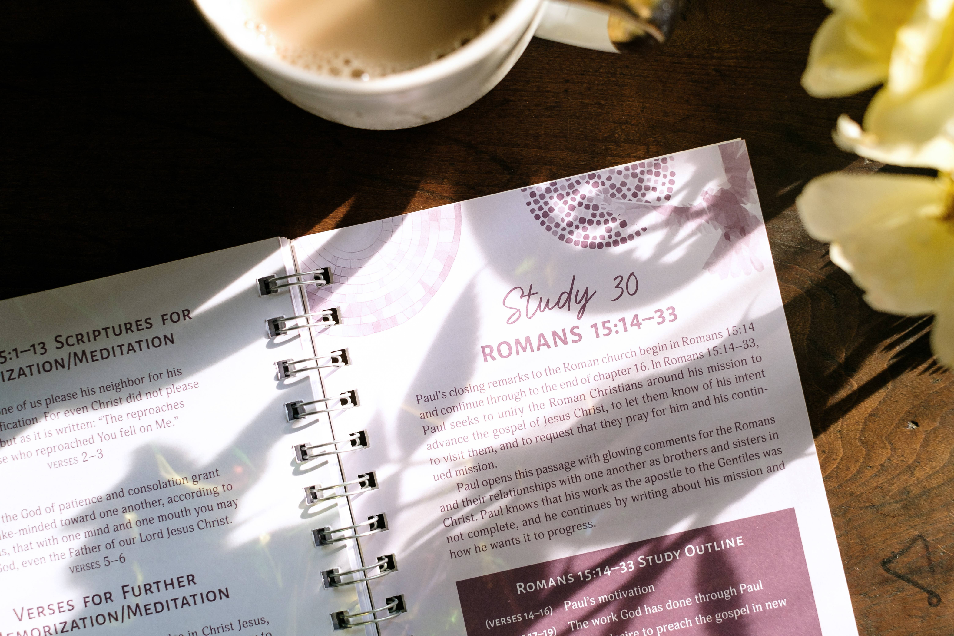 Romans: An All-in-One Study on Salvation and New Life