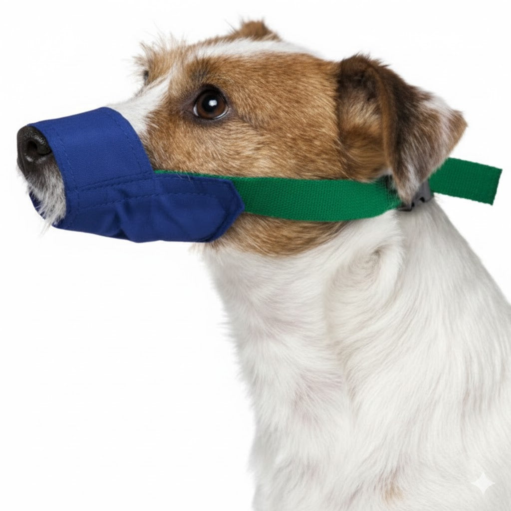 Color-Coded Strap Quick Muzzle for Dogs Large Blue