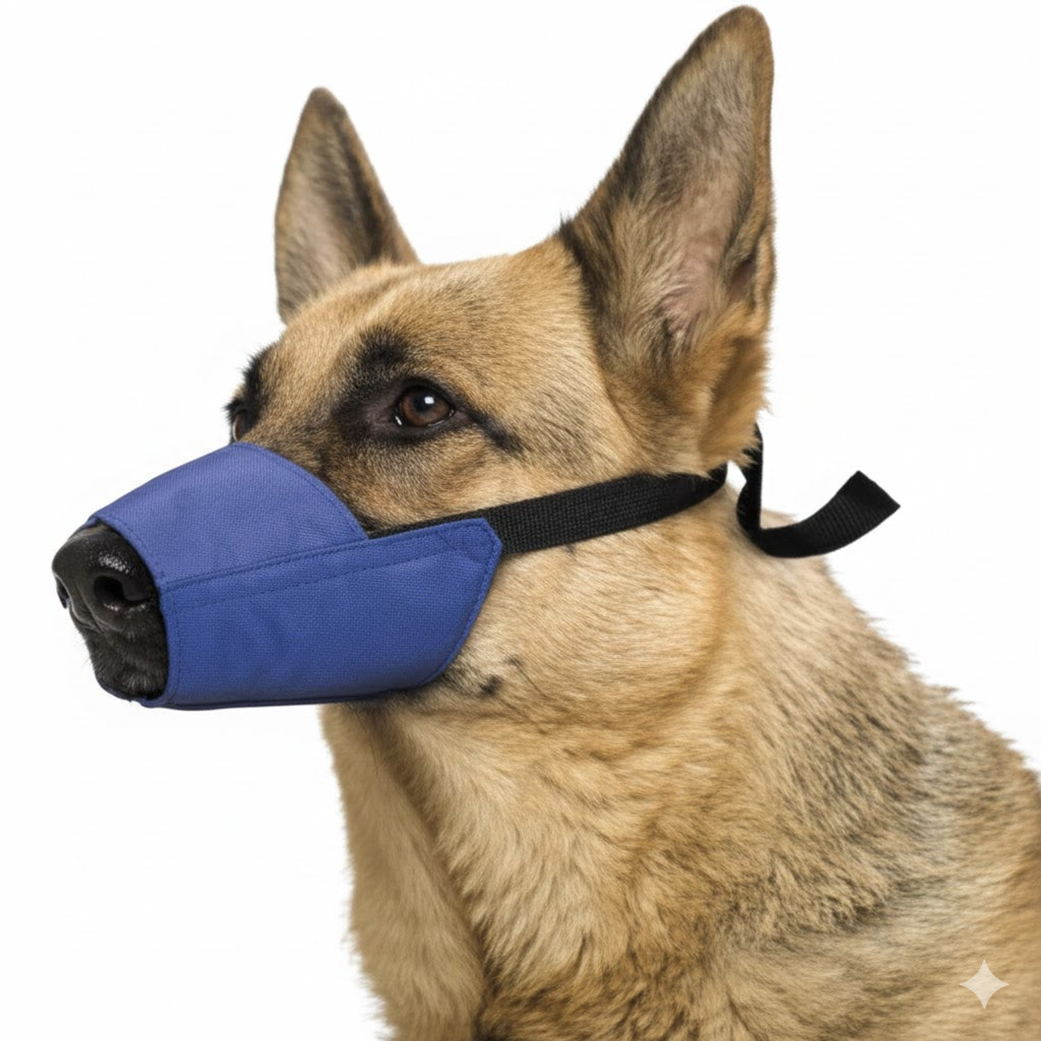 Color-Coded Strap Quick Muzzle for Dogs XL Blue