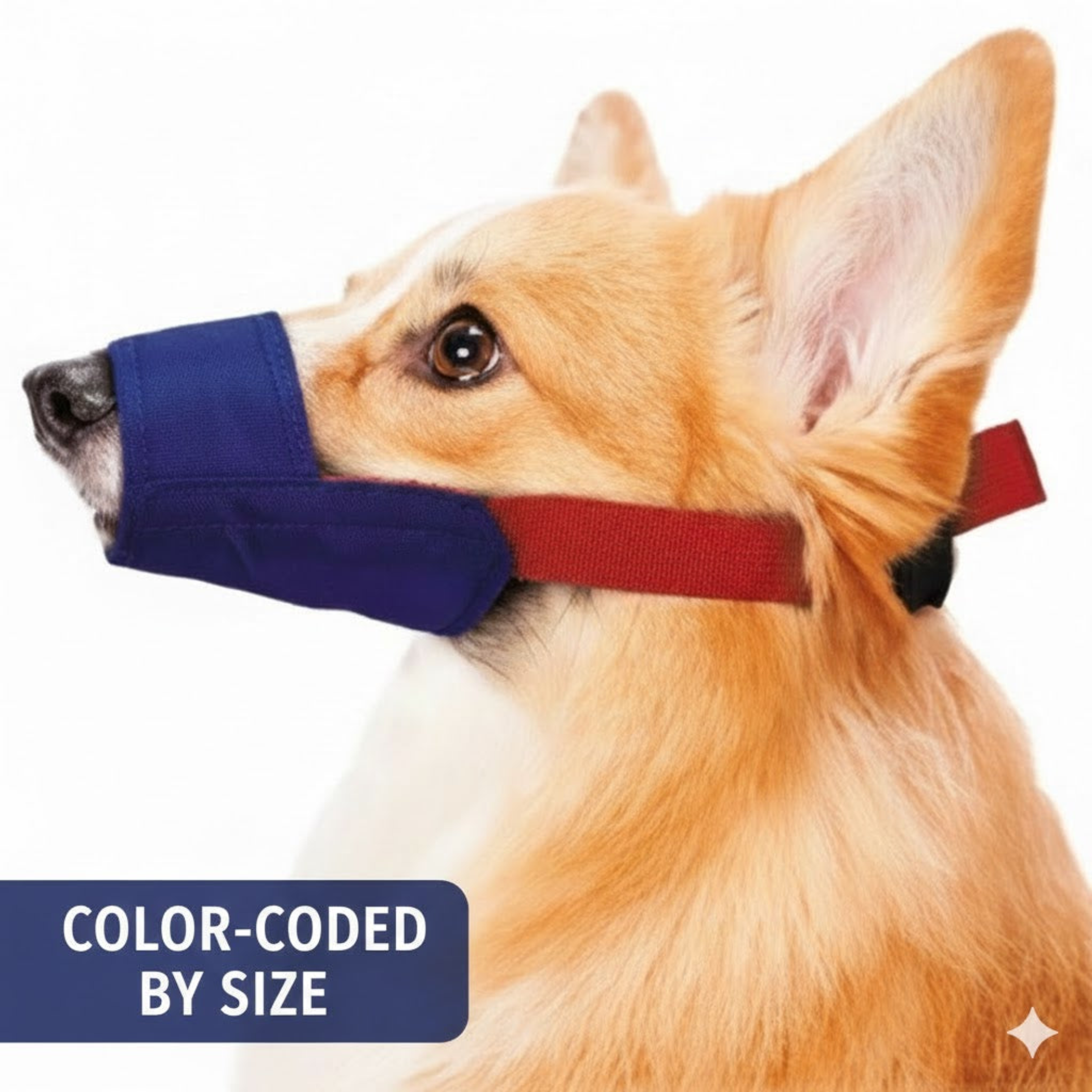 Color-Coded Strap Quick Muzzle for Dogs XXS Blue