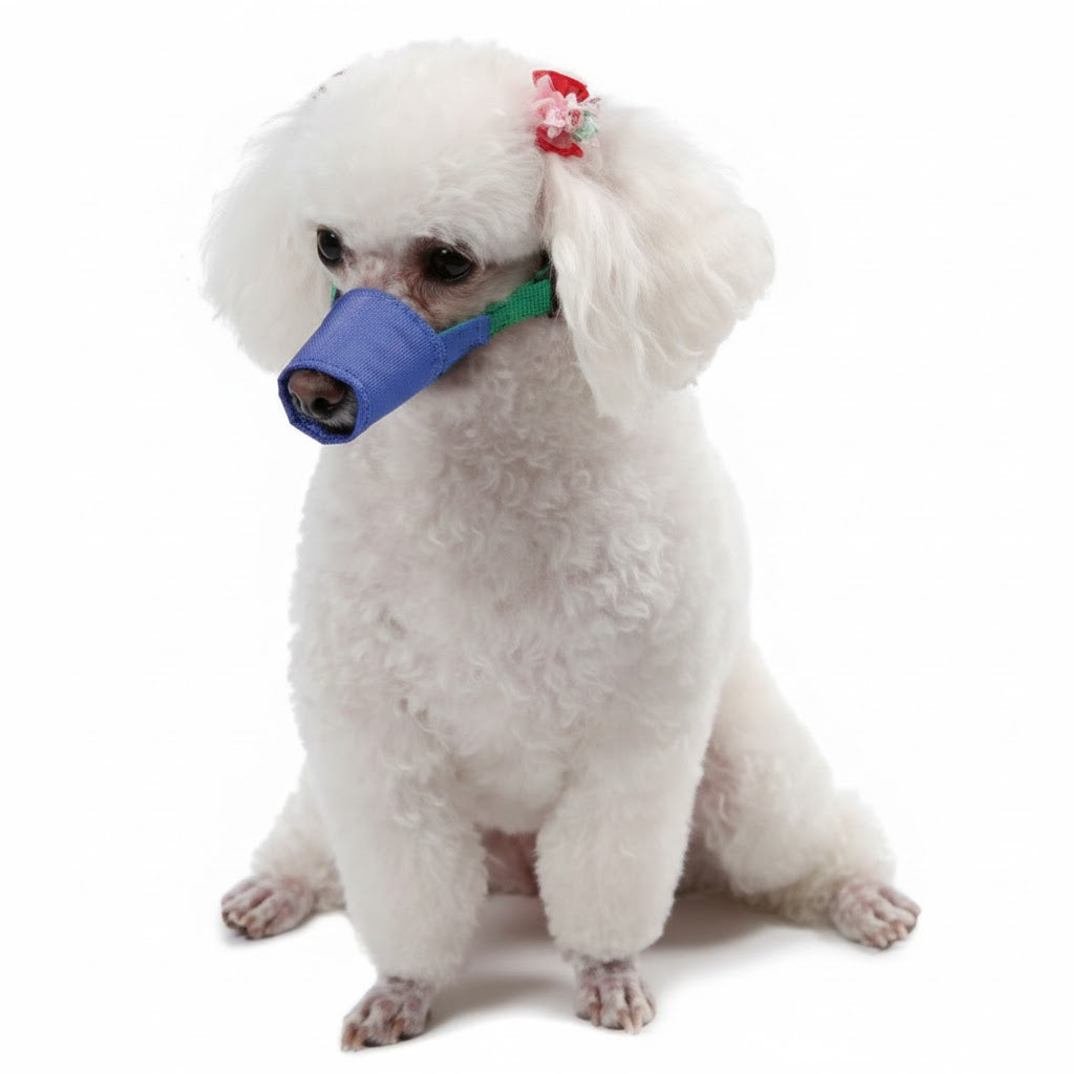 Long Snout Color-Coded Quick Muzzle Medium Blue