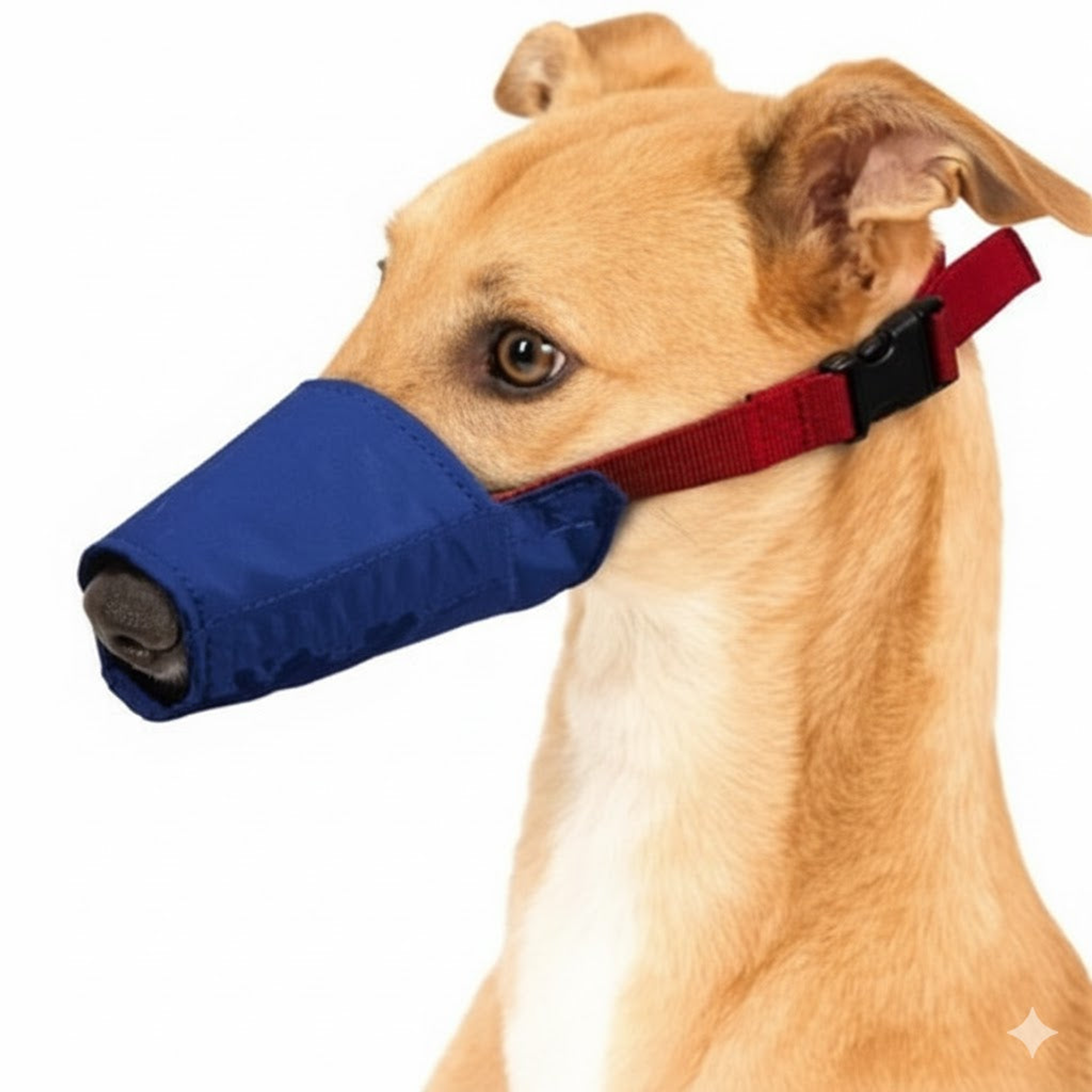Long Snout Color-Coded Quick Muzzle Large Blue