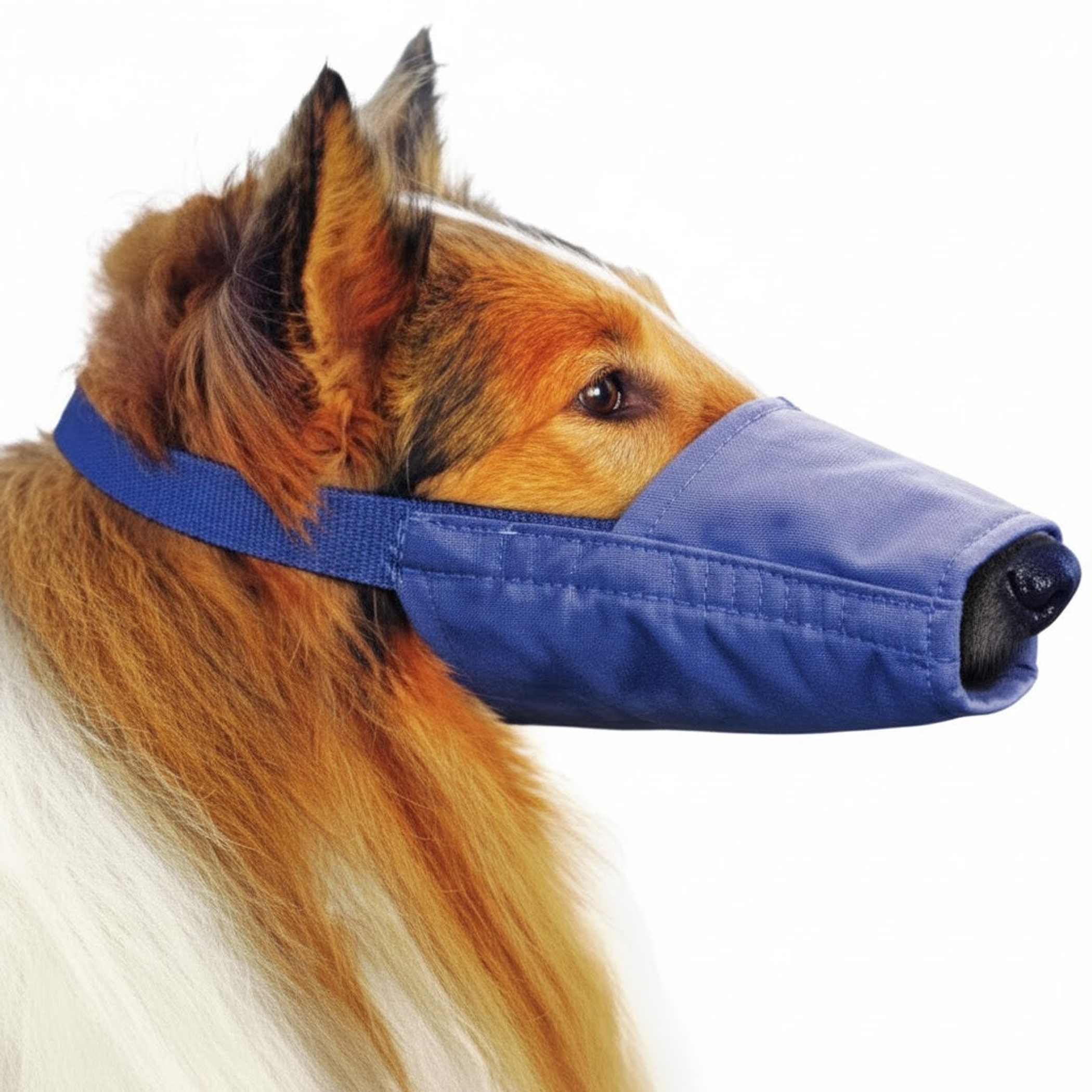Quick Muzzle for Long Snout Dogs Small Blue
