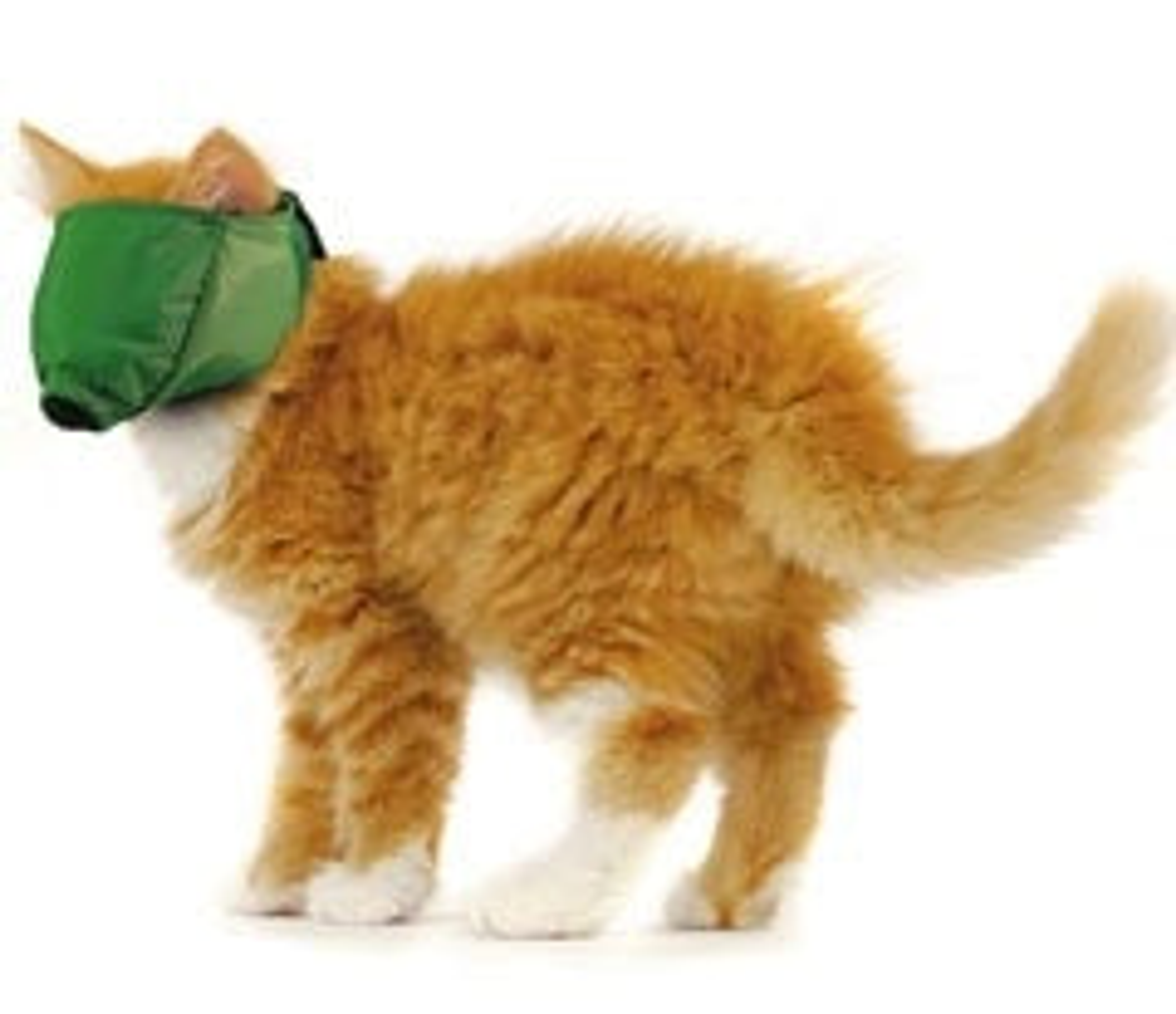 10 Pack Four Flags Over Aspen Quick Muzzle for Cats Medium Green