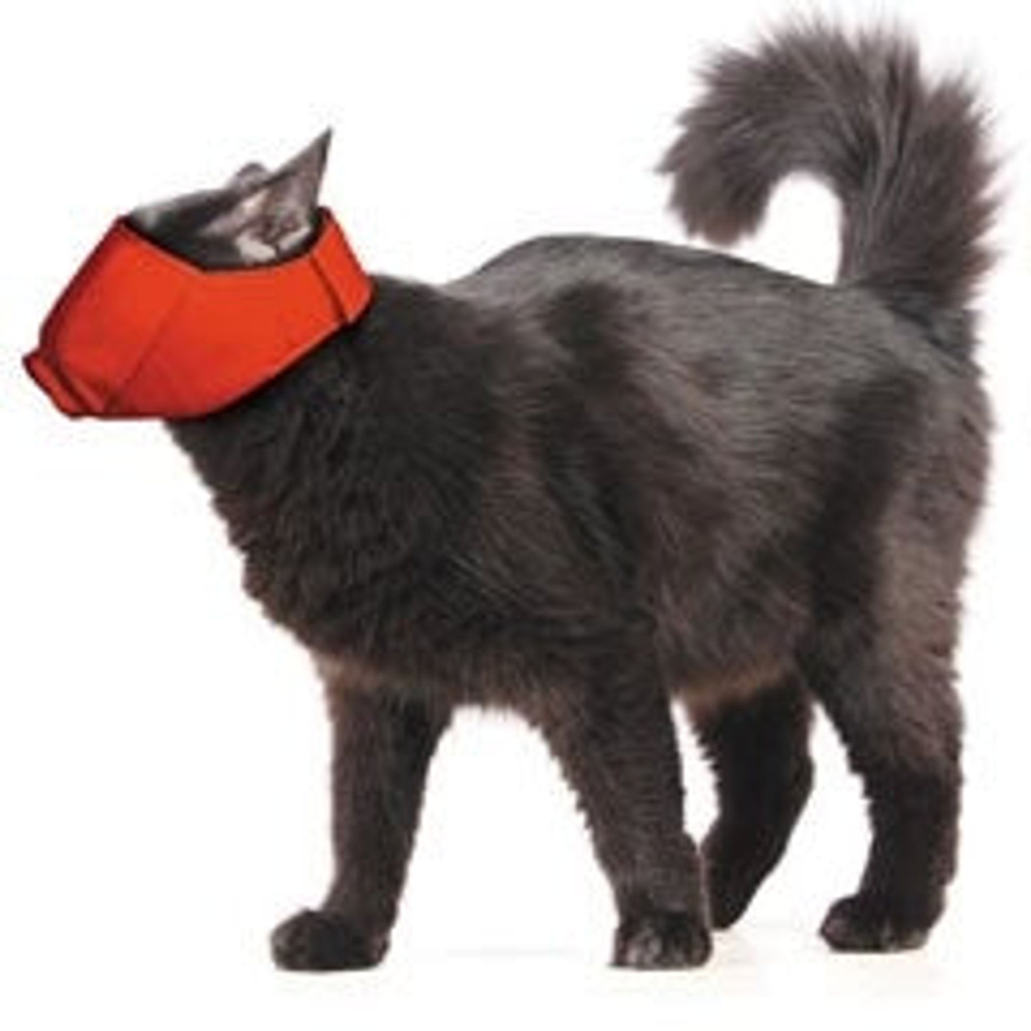 10 Pack Four Flags Over Aspen Quick Muzzle for Cats Large Red