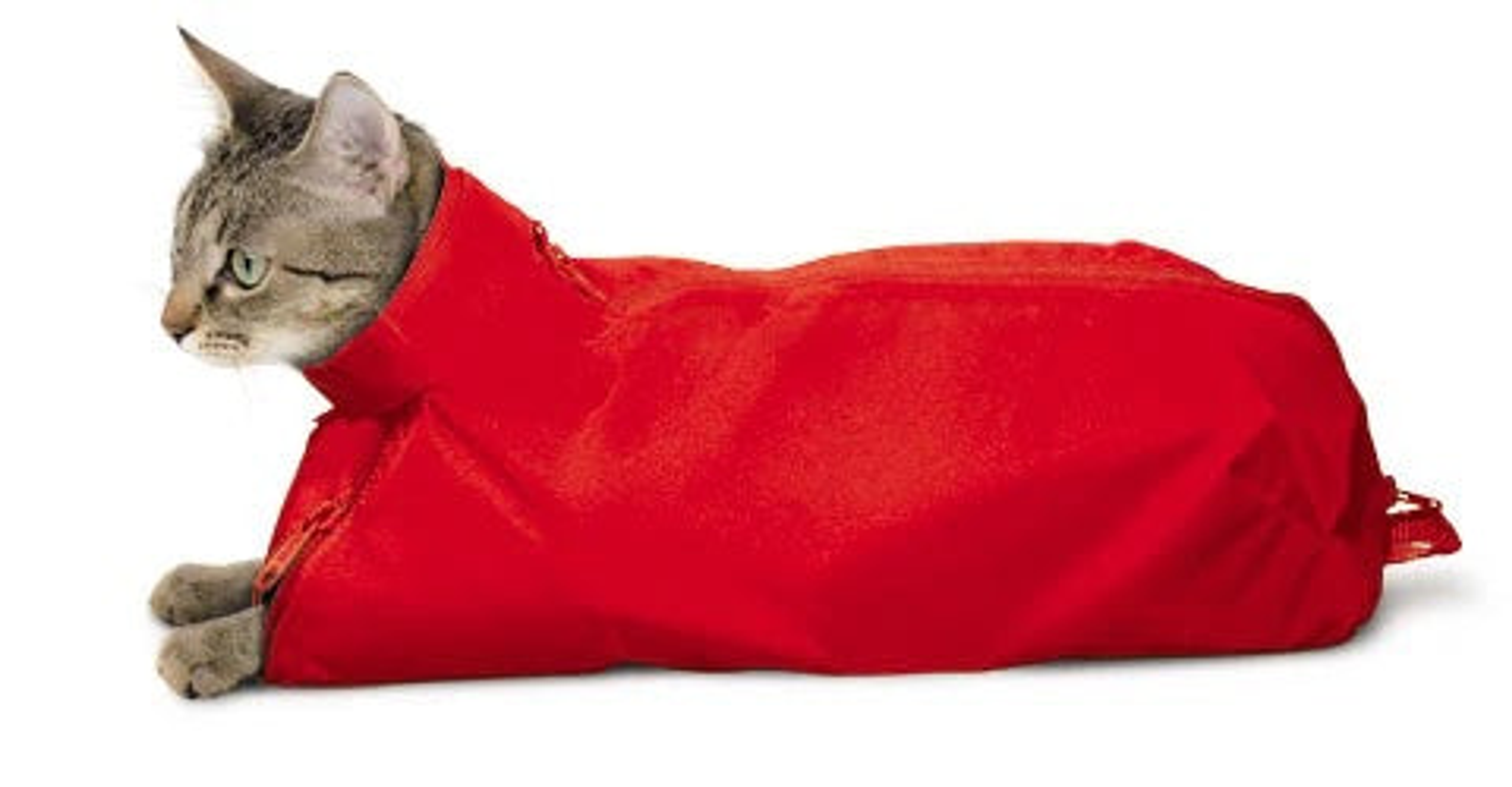 Original Cat Sack Small Green