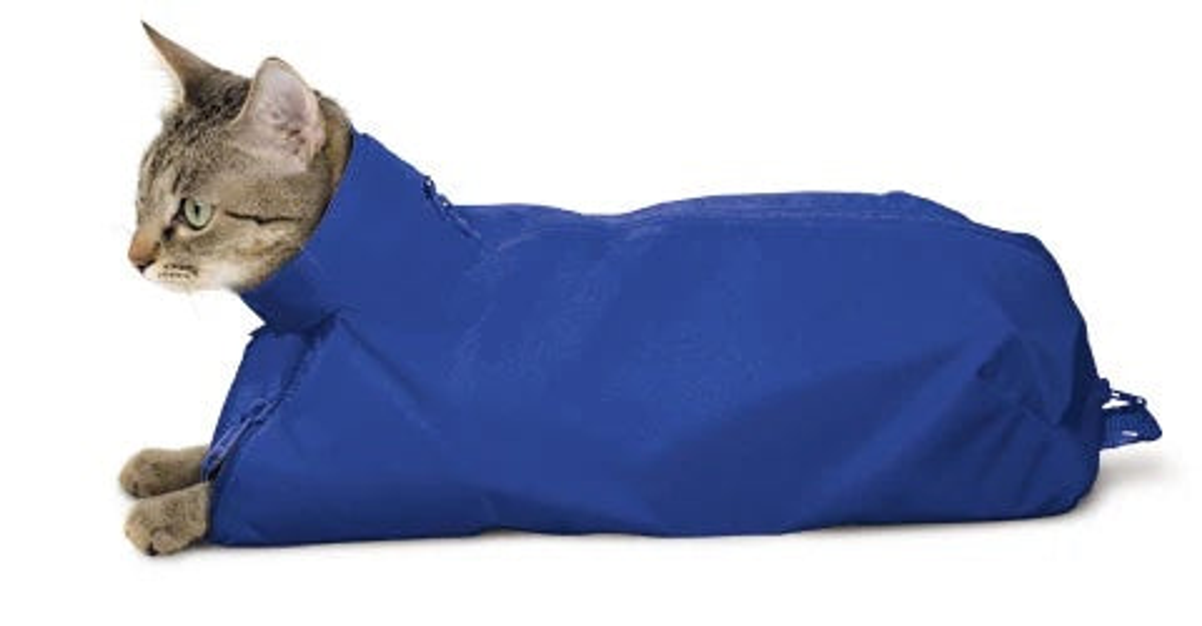 Original Cat Sack Small Blue