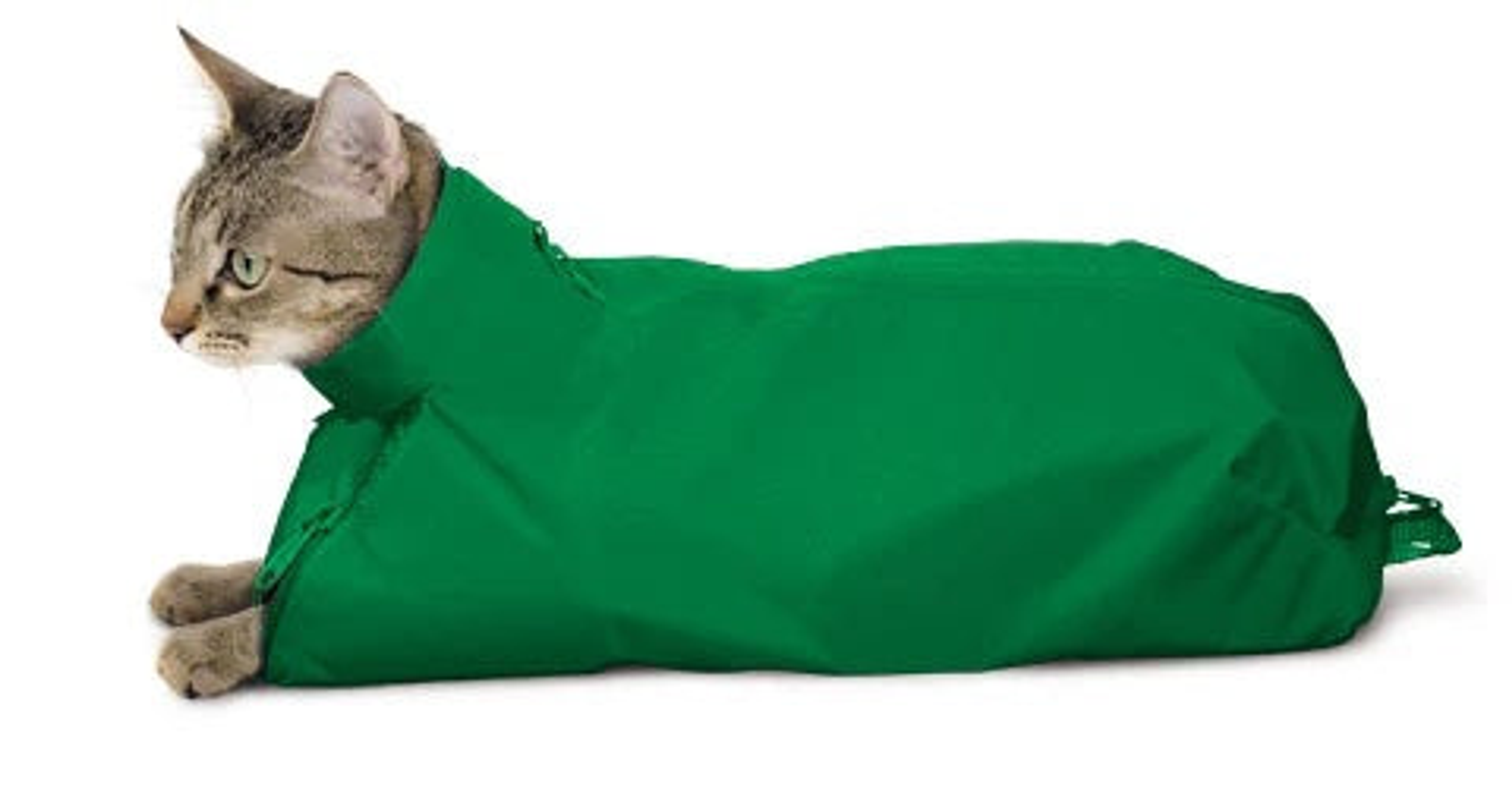 Original Cat Sack Sets S M & L Green Pack of 3