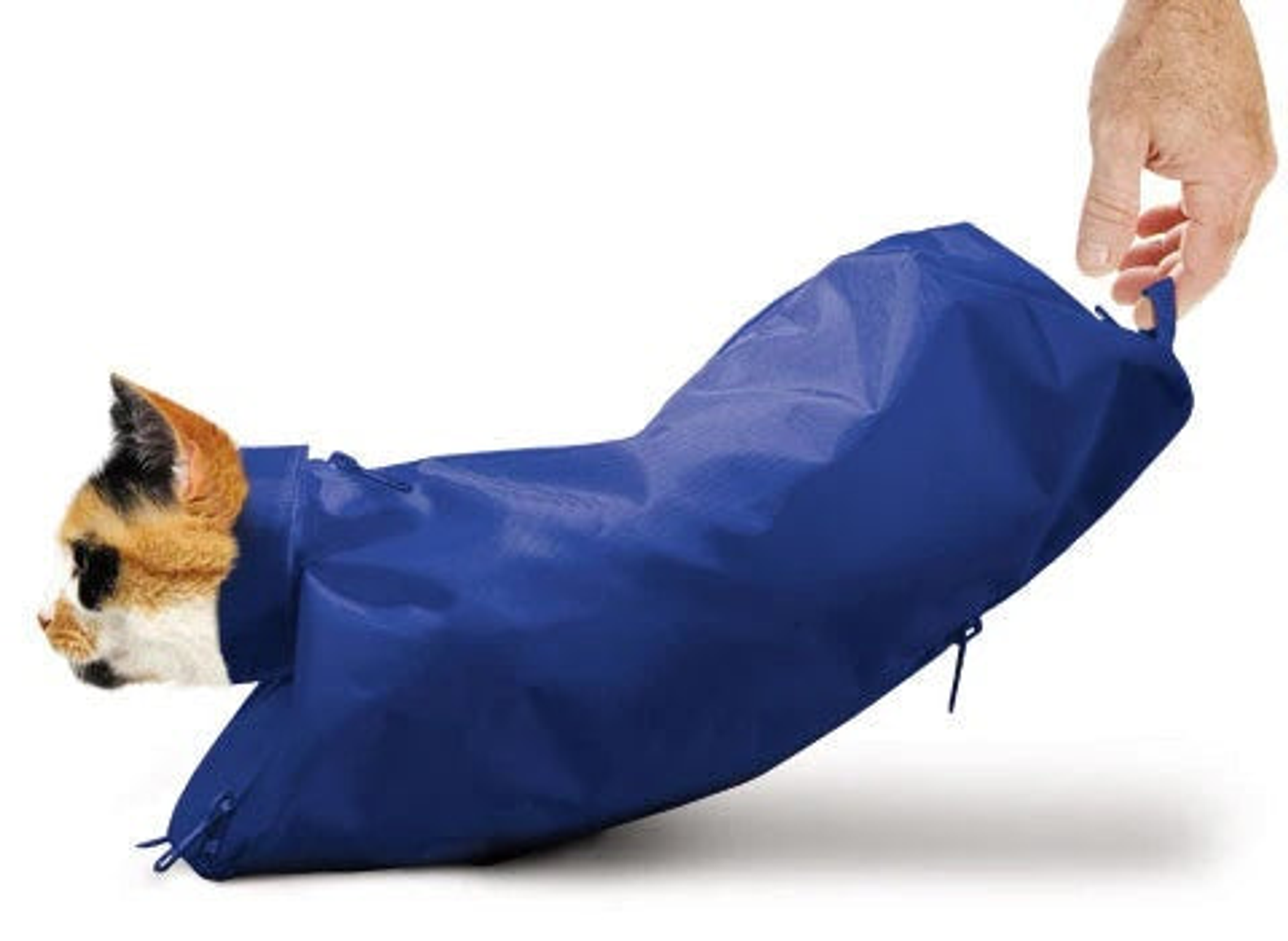 Original Cat Sack with Rear Underside Zipper Set S M L & XL Blue Pack of 4