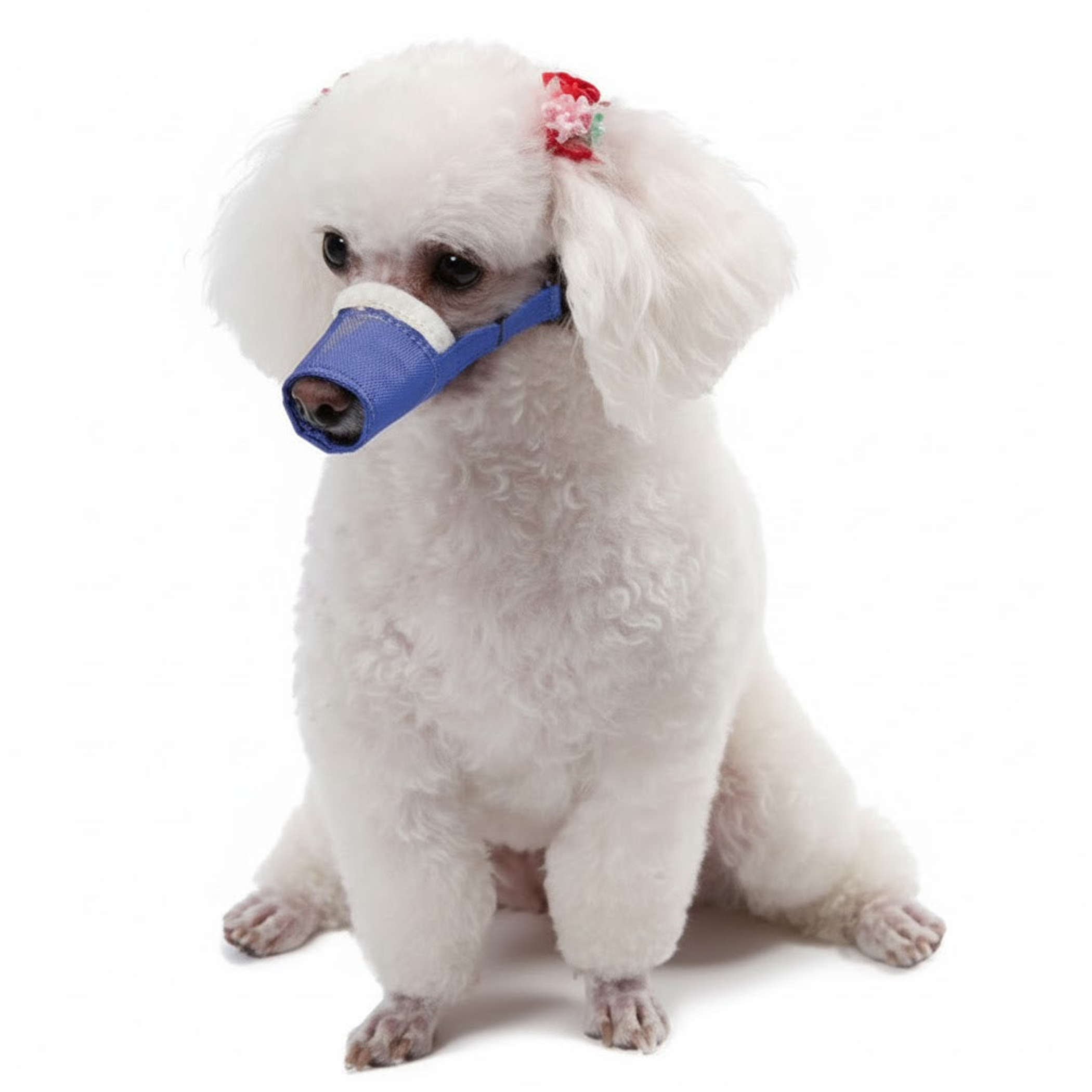 Cozy Quick Muzzle for Long Snout Dogs Large Blue