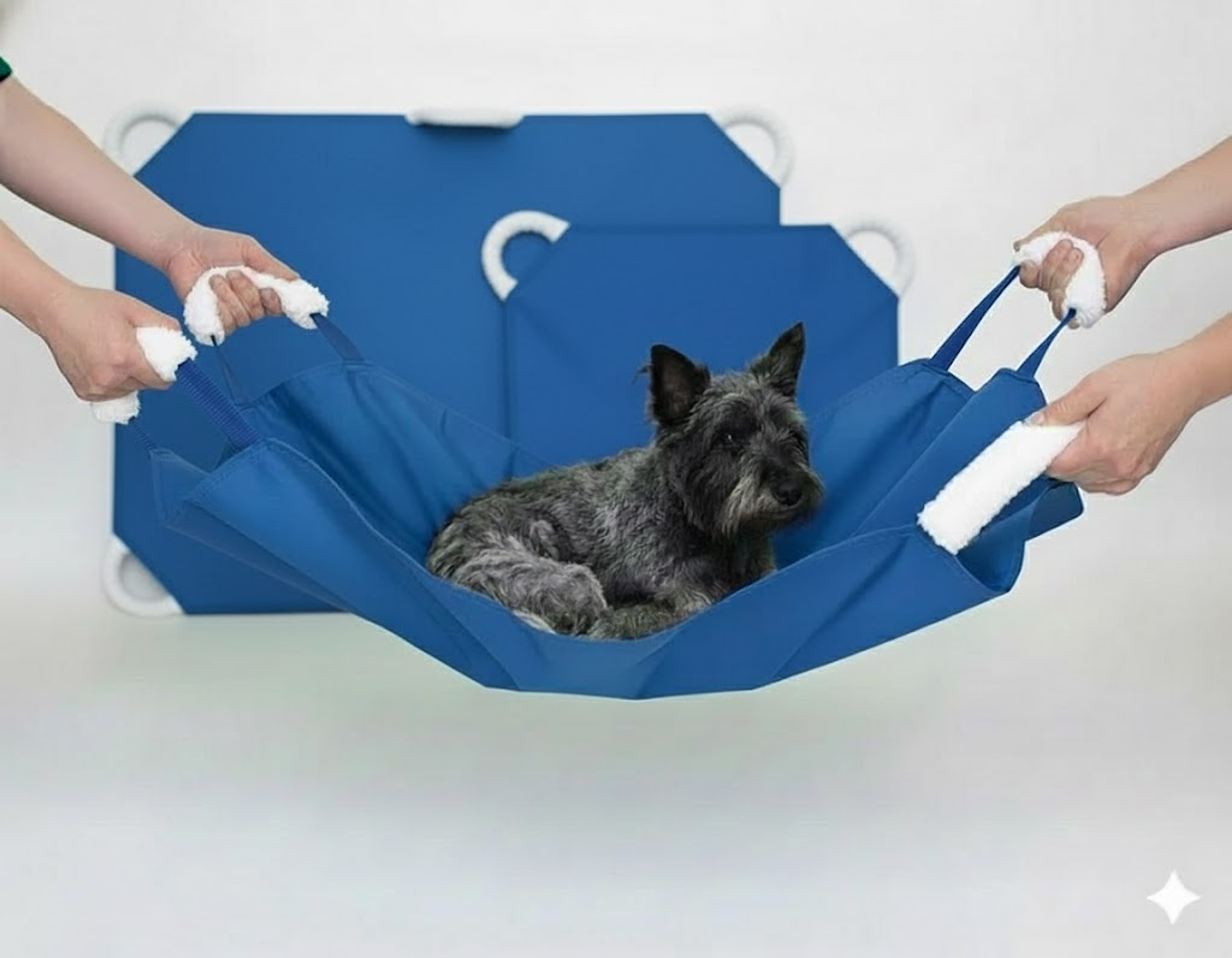 Soft Quick Carry Animal Stretcher Small & Large Set Blue