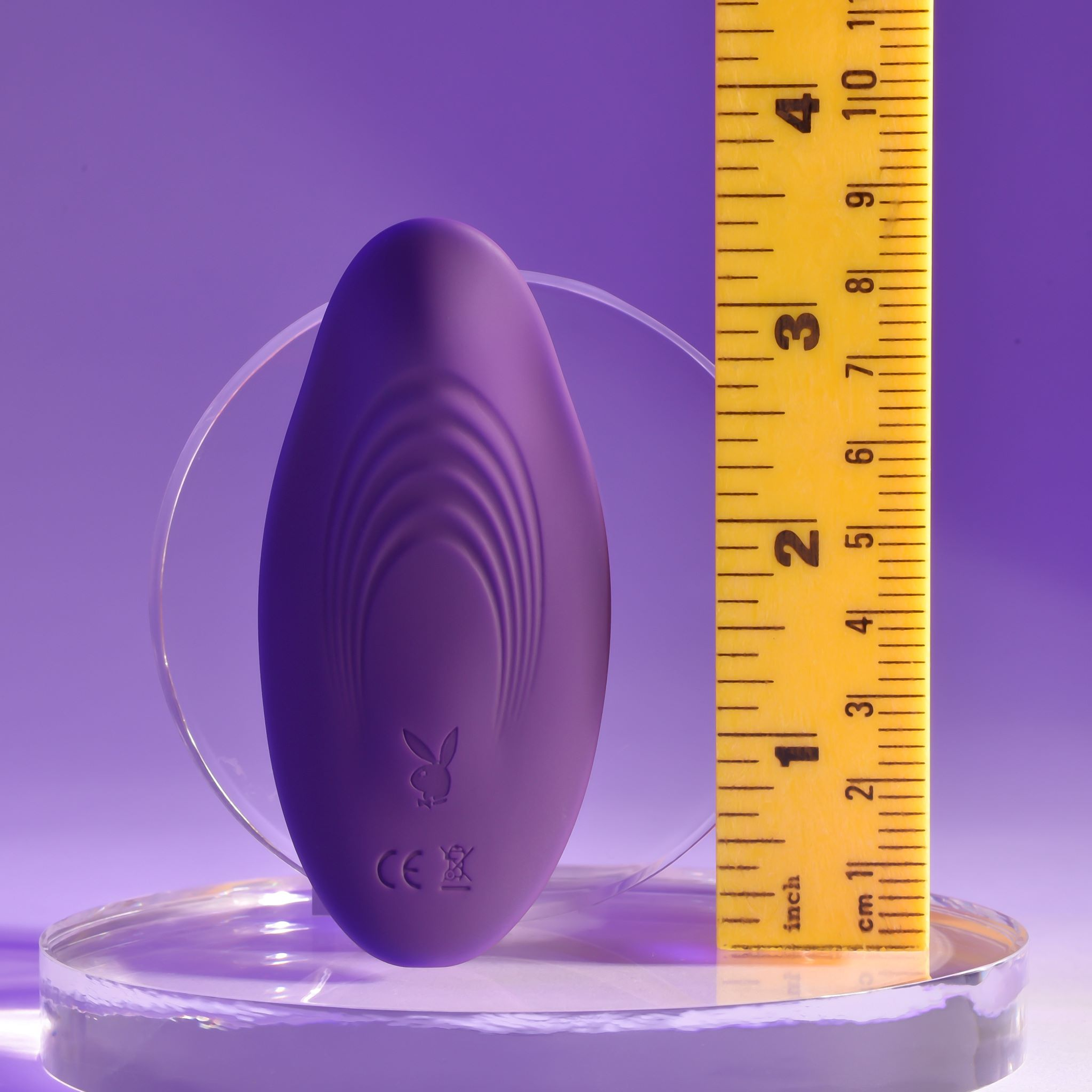 Playboy Our Little Secret Panty Vibrator