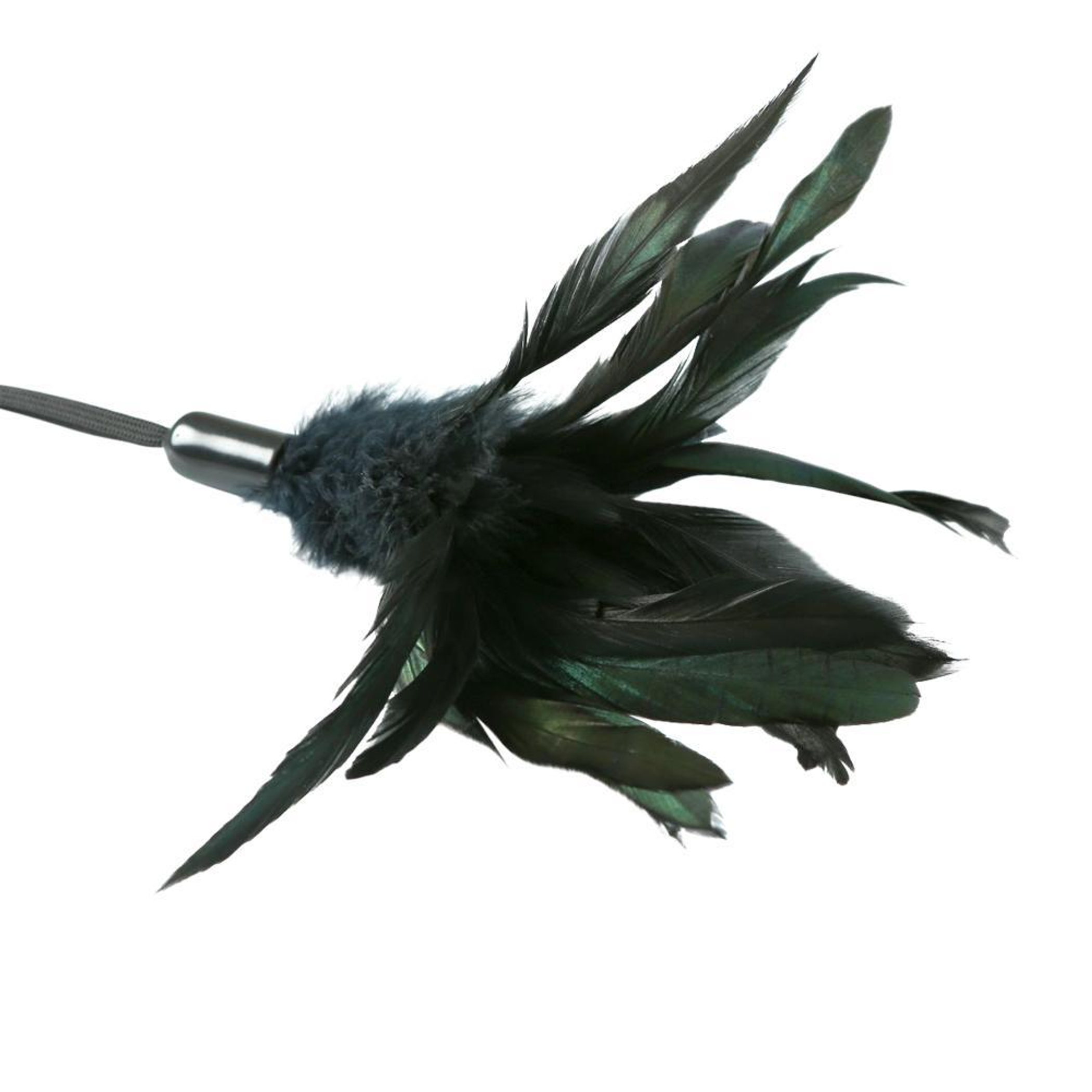 Premium Pleasure Feather Tickler