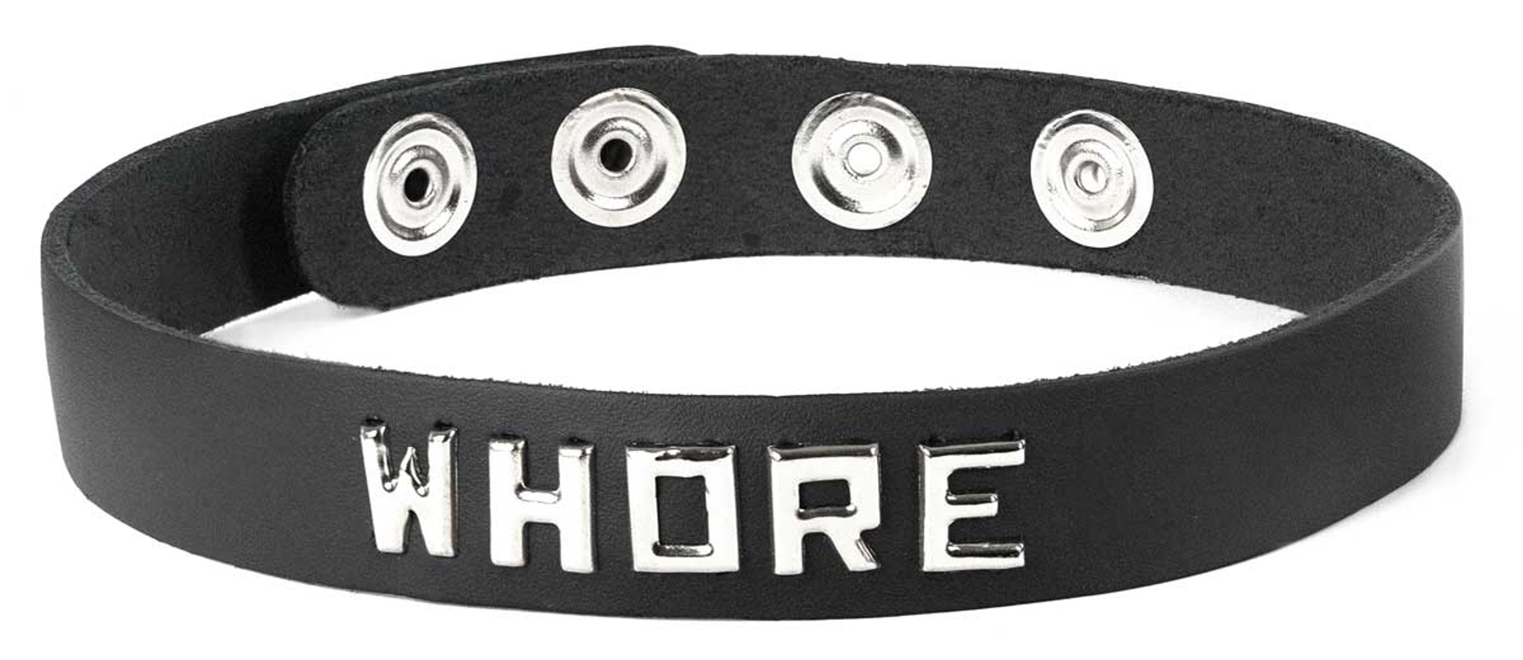 Script Plate Collar with Leash