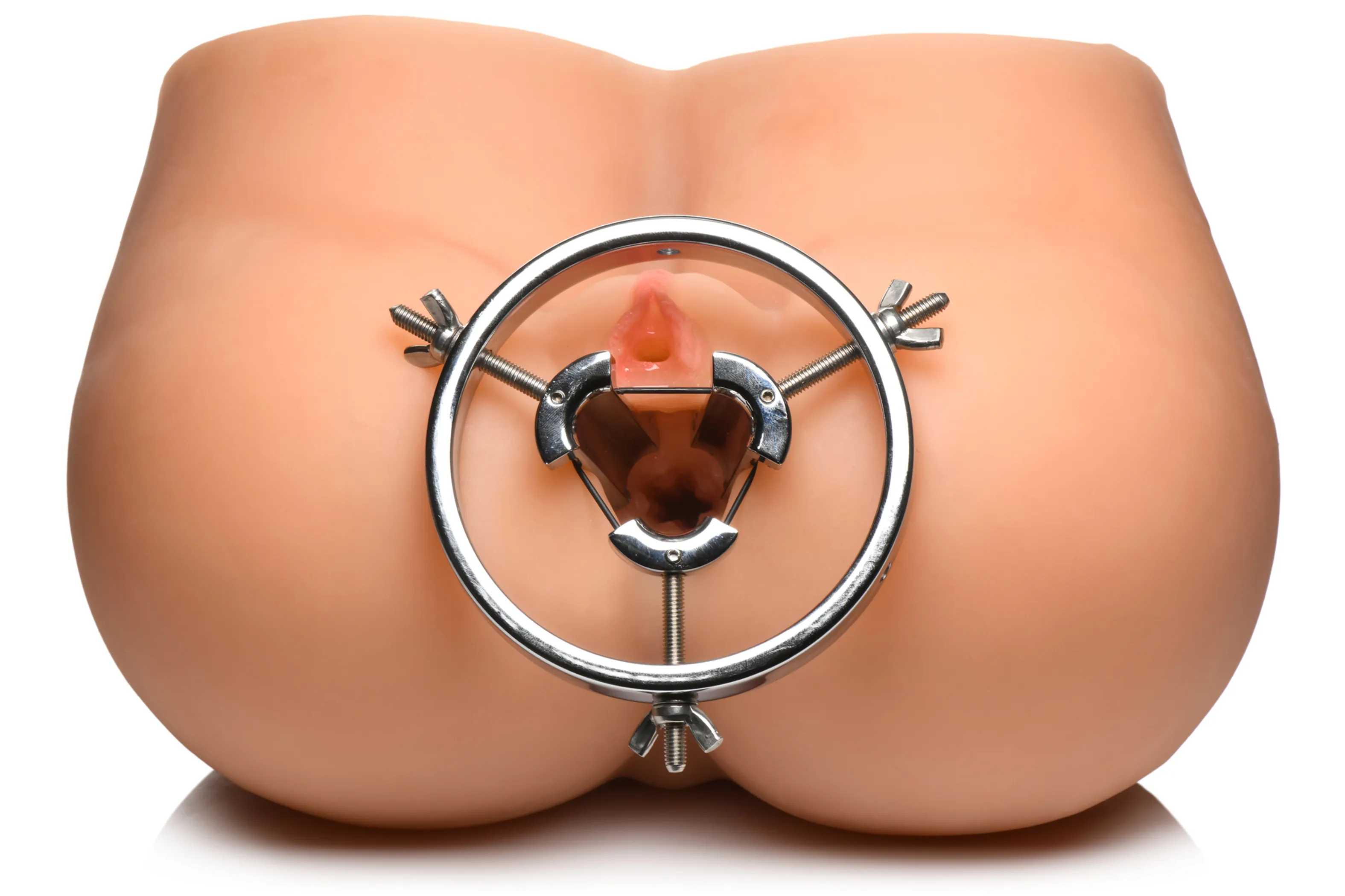 Master Series Forced Spread Stainless Steel Anal Explorer