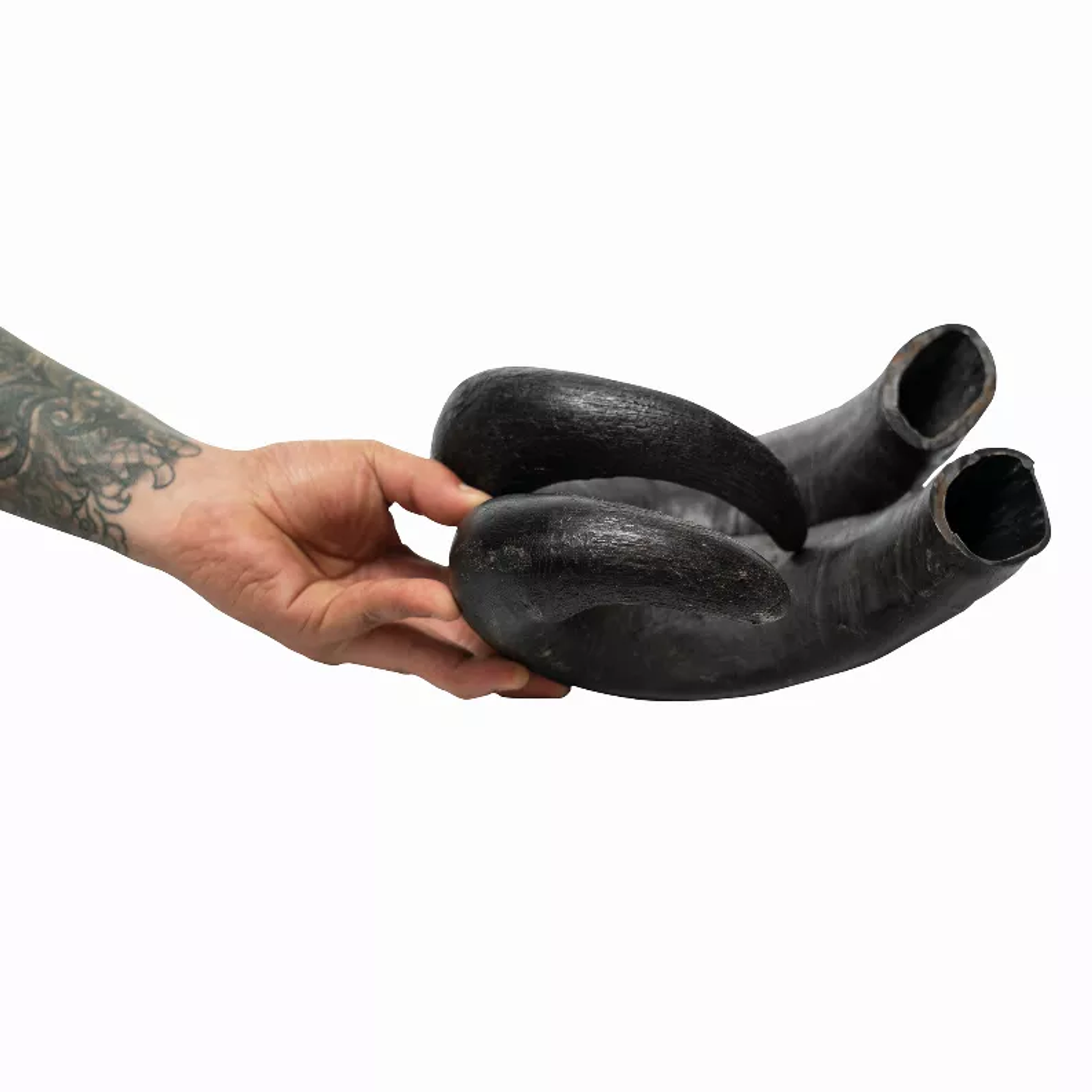 WATER BUFFALO HORN-100% Natural, Long-Lasting, Grain-Free, Gluten-Free, Dog Dental Treats & Chews-2 COUNT-15 oz Image 1
