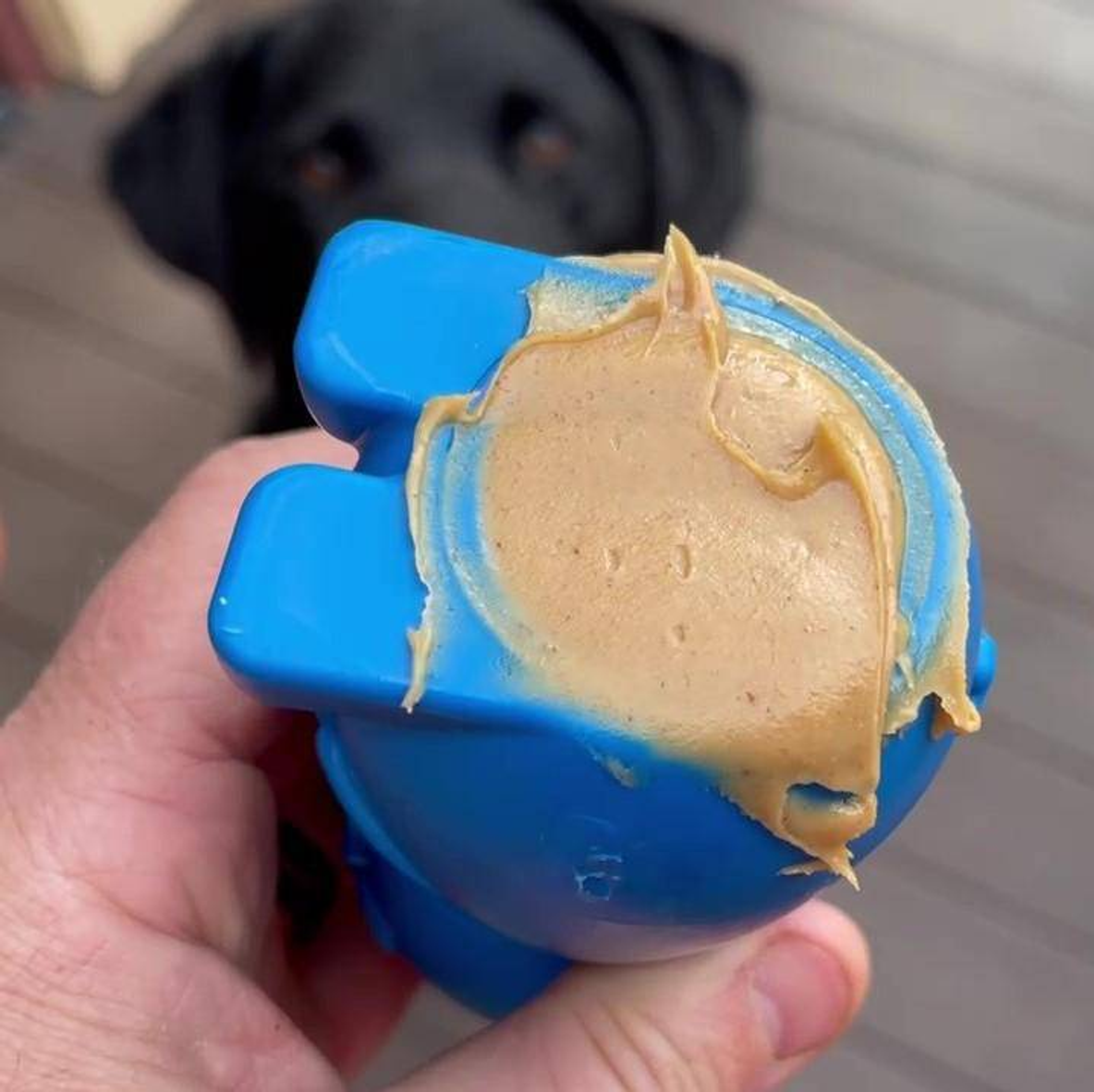 Nylon Chew Toy for Dogs Reduces Problem Behaviors Enrichment Toy Durable Design Hollow Shape Suitable for Heavy Chewers and Aggressive Chewers