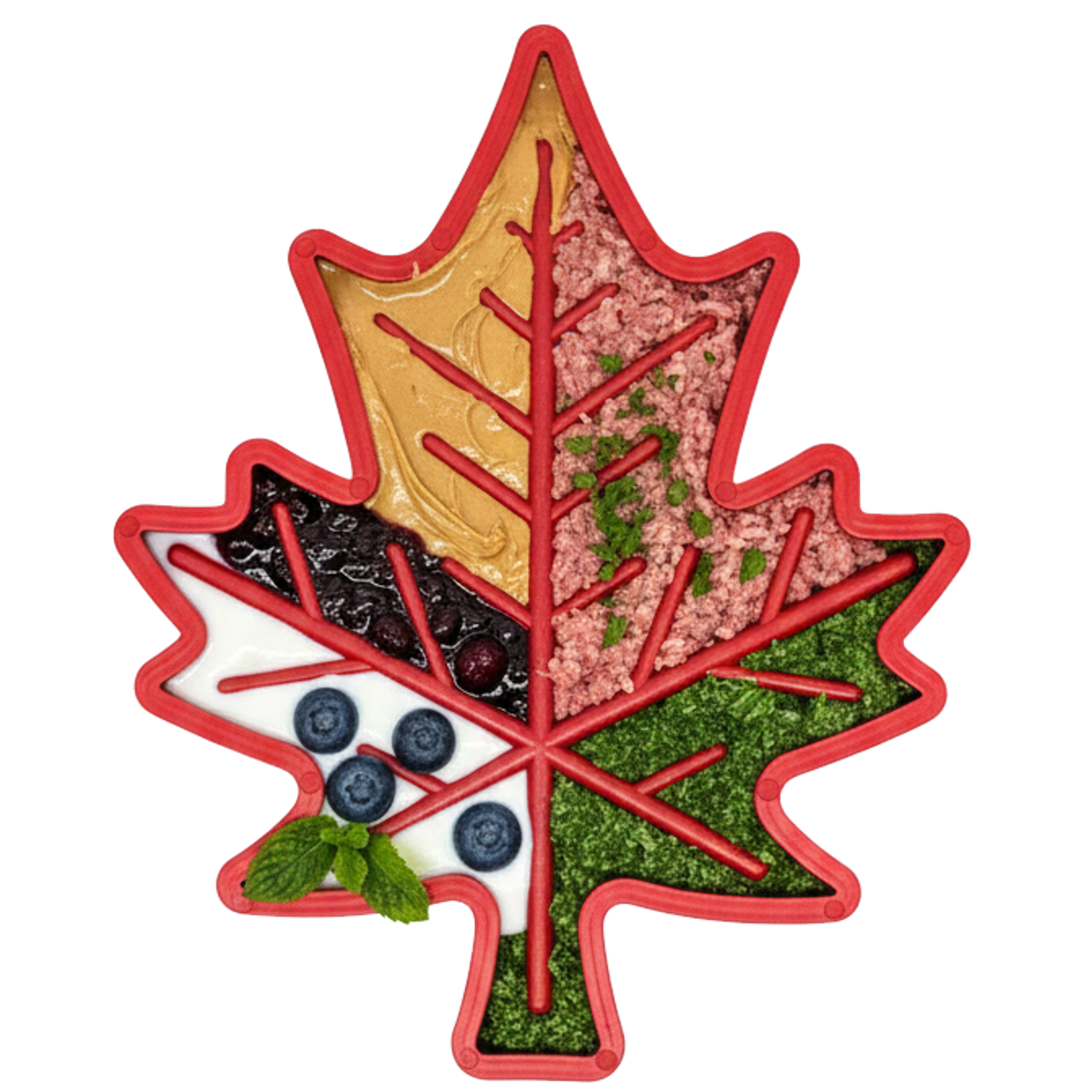 Canadian Maple Leaf Nylon Dog Chew Toy