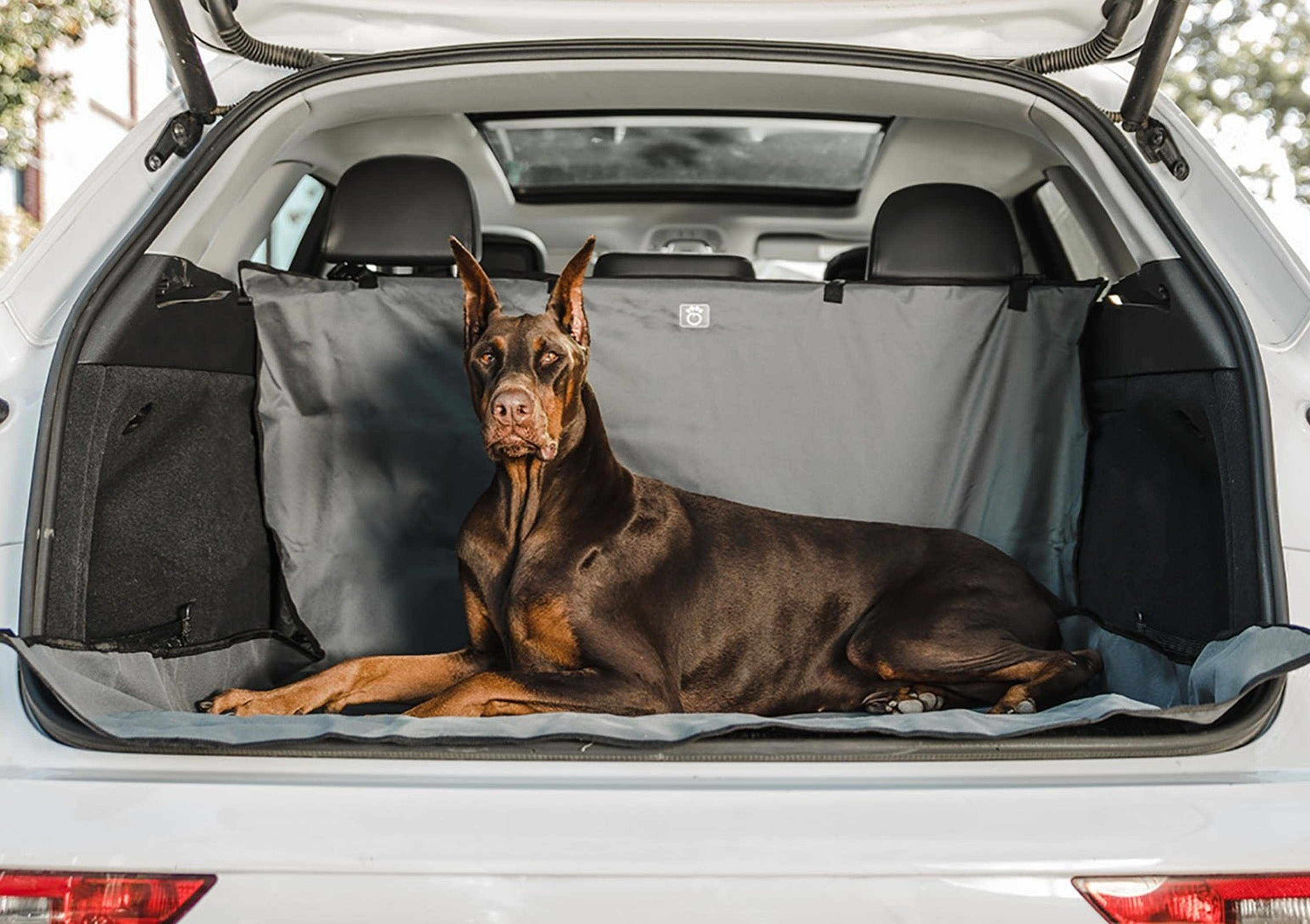 GF Pet  Pet Cargo Cover Image 1