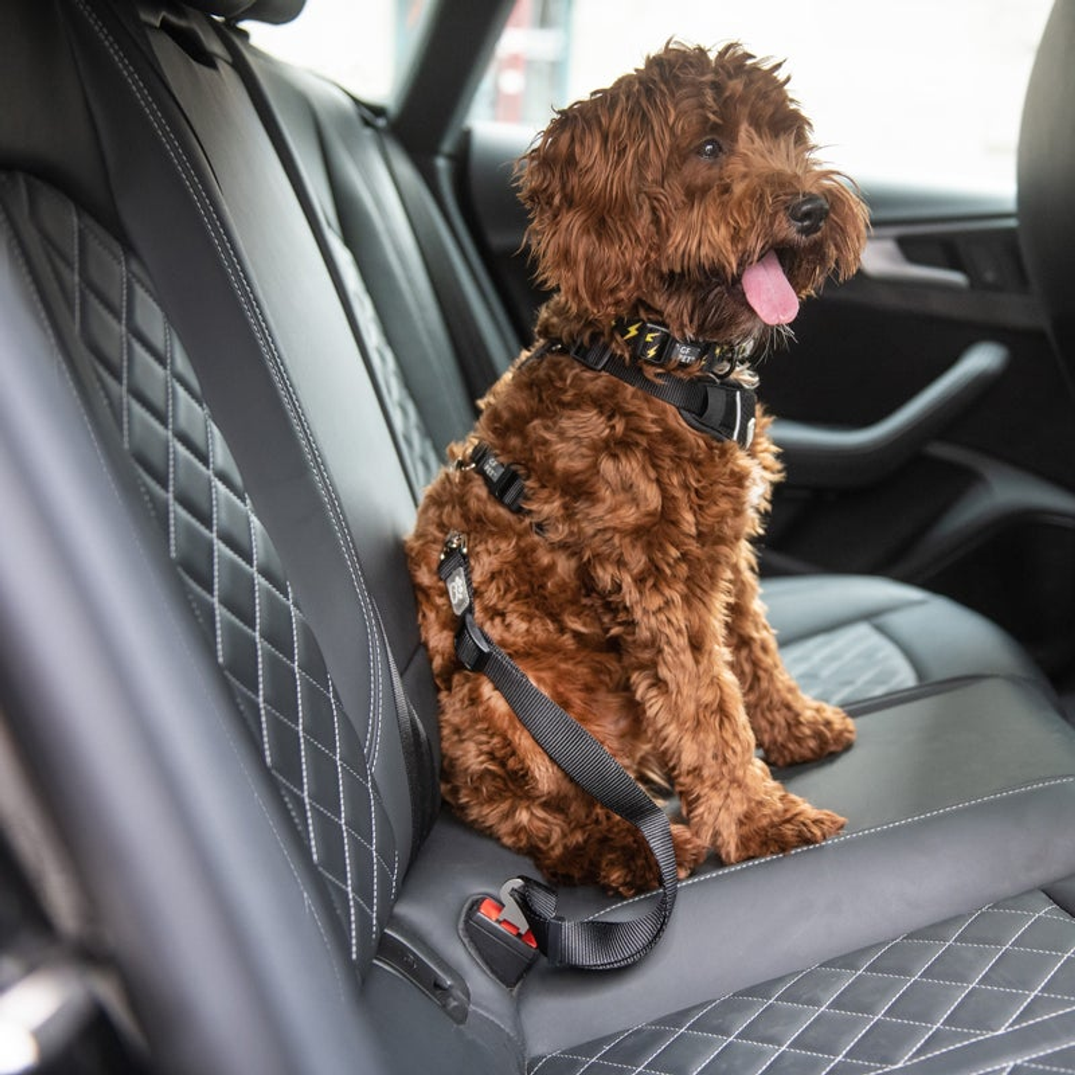 GF Pet  Pet Seat Belt Tether  Black Image 1