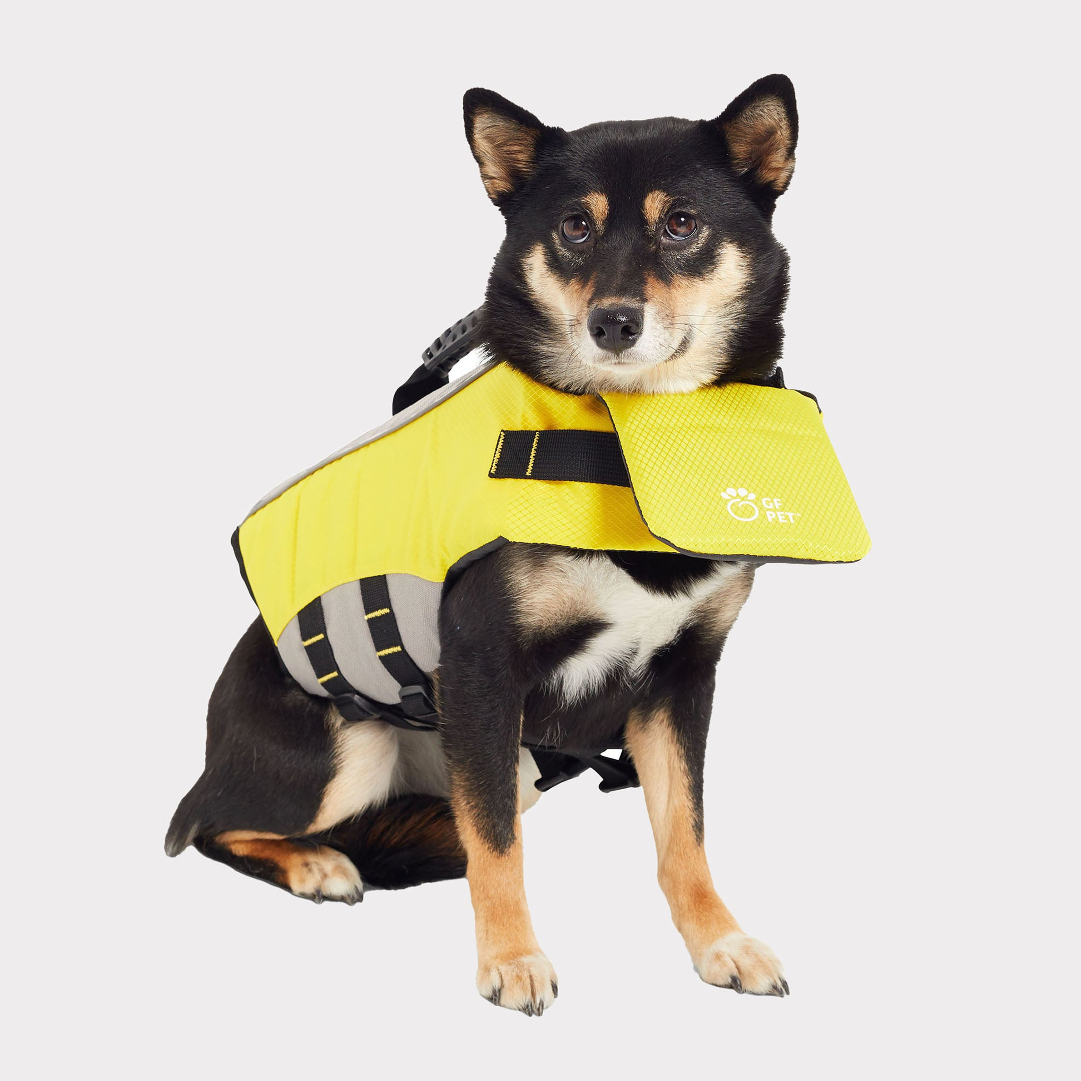 GF Pet Life Vest Image 1