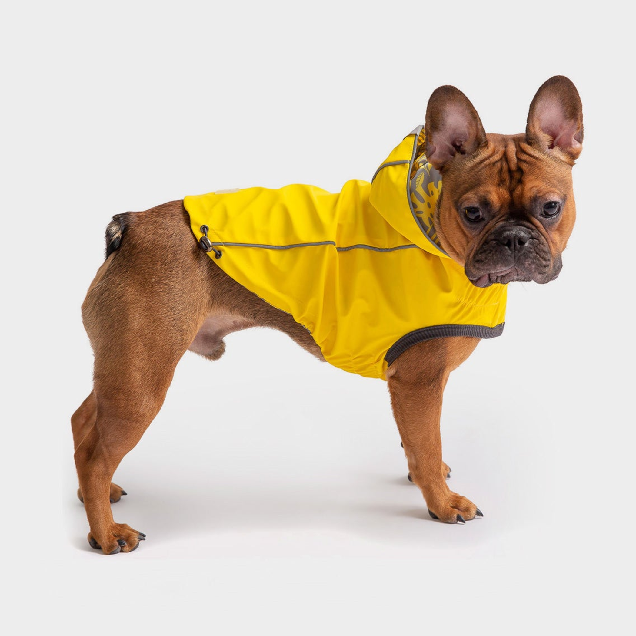 GF Pet Reversible ElastoFit Raincoat Image 1