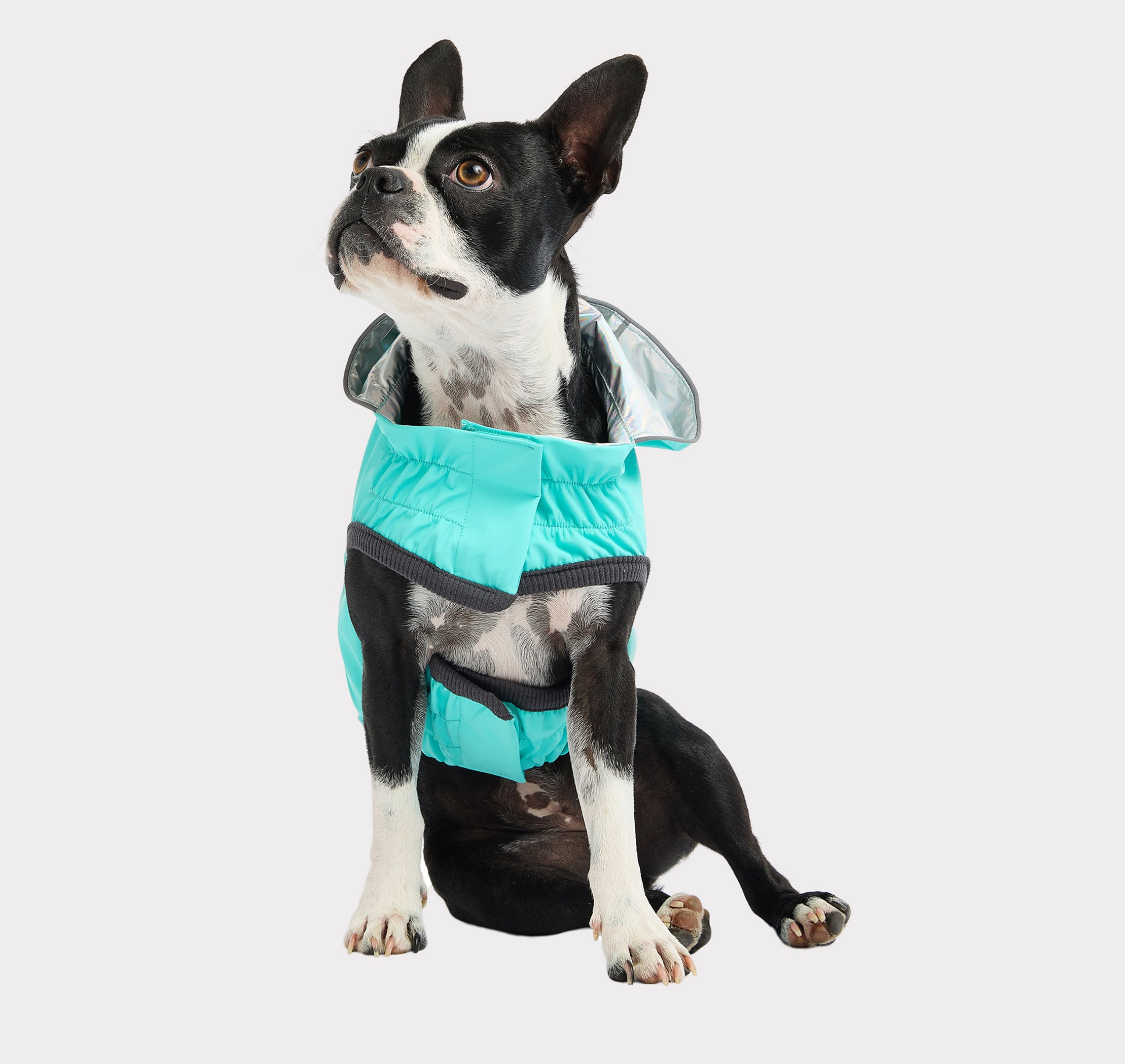 GF Pet Reversible Raincoat Image 1