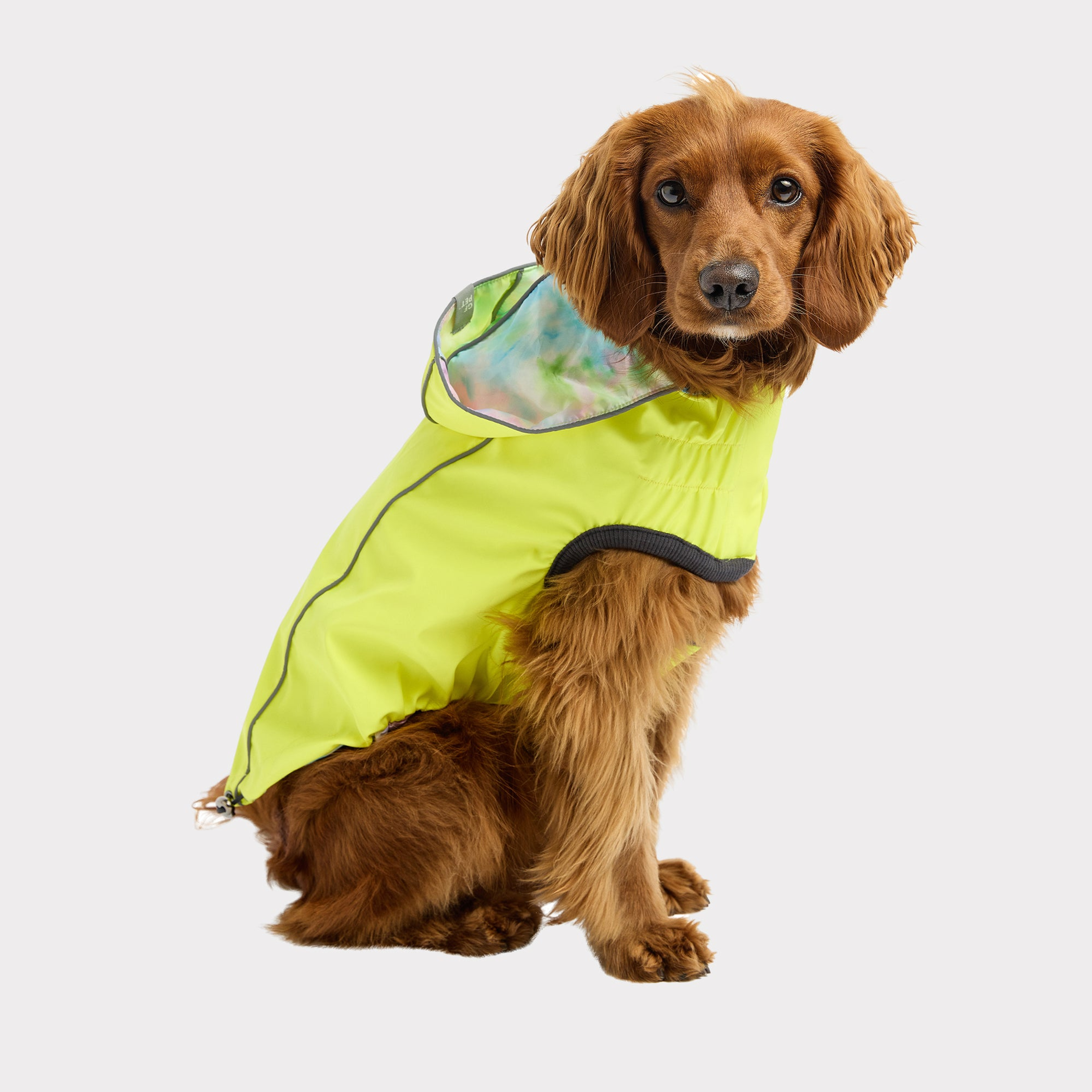 GF Pet Reversible Raincoat Image 1