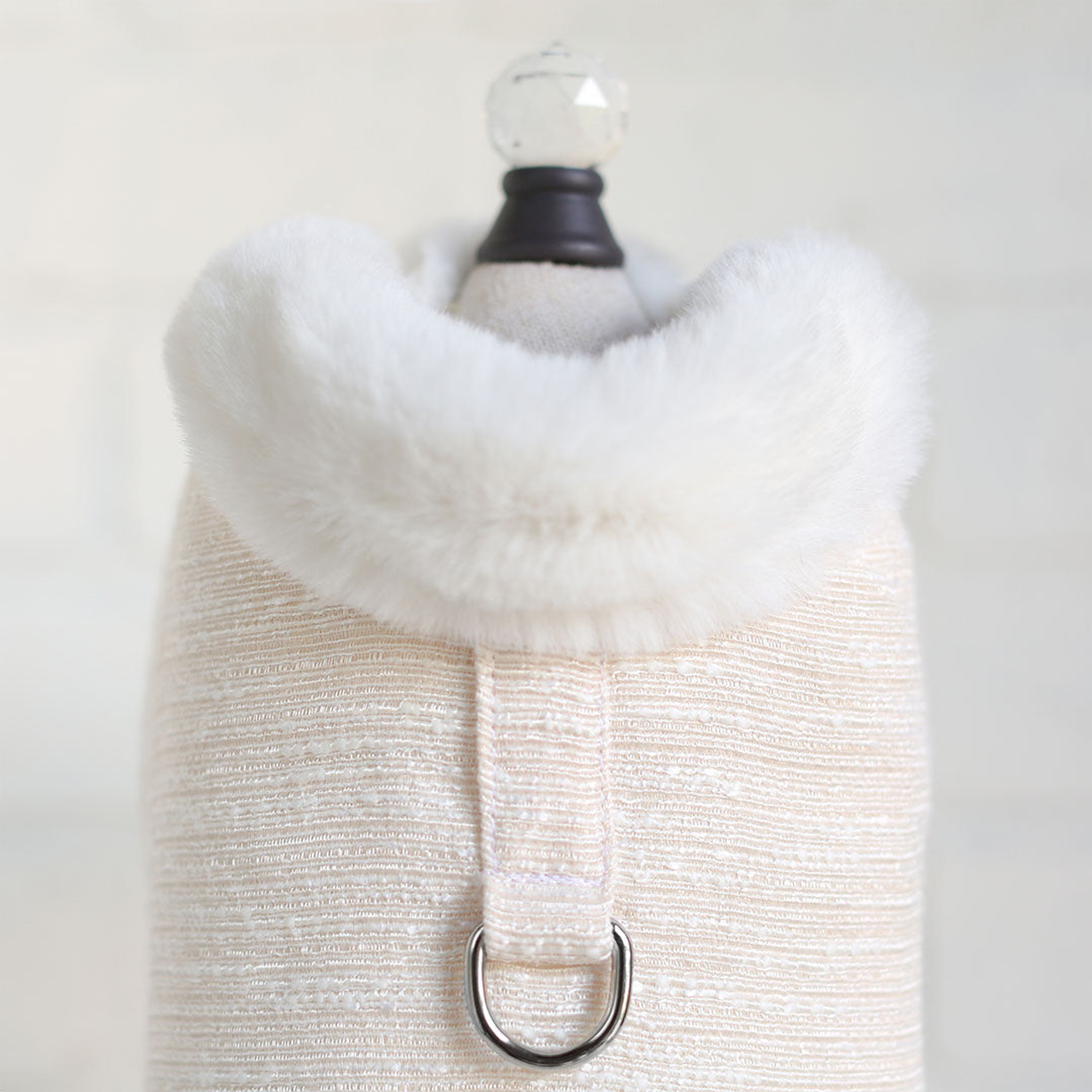 Zha Zha Dog Coat Image 1