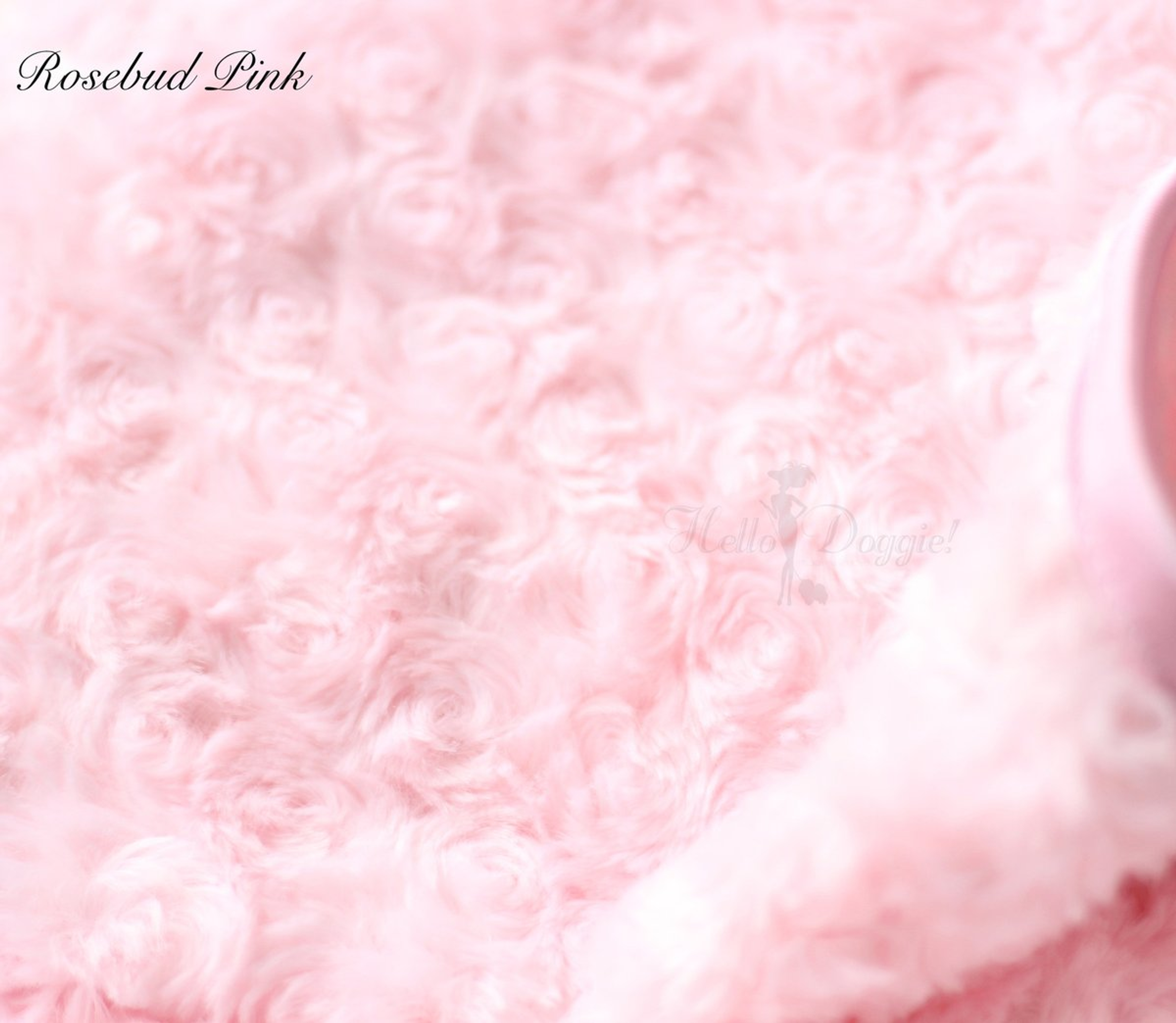 Rosebud Dog Blanket Image 1