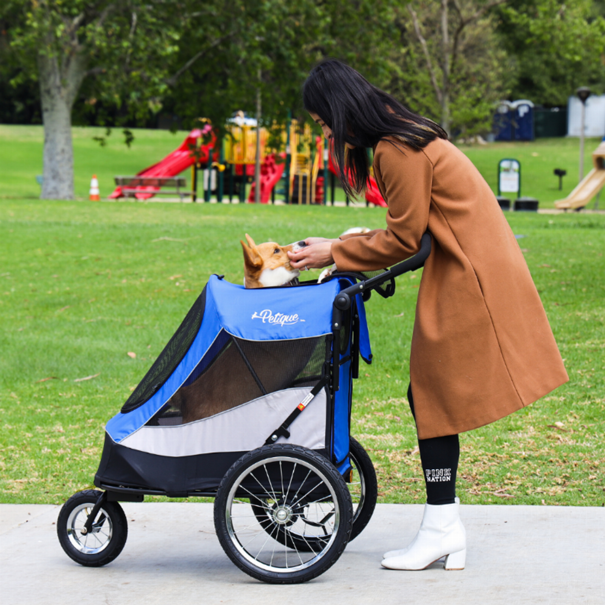 Trailblazer Pet Jogger Image 1