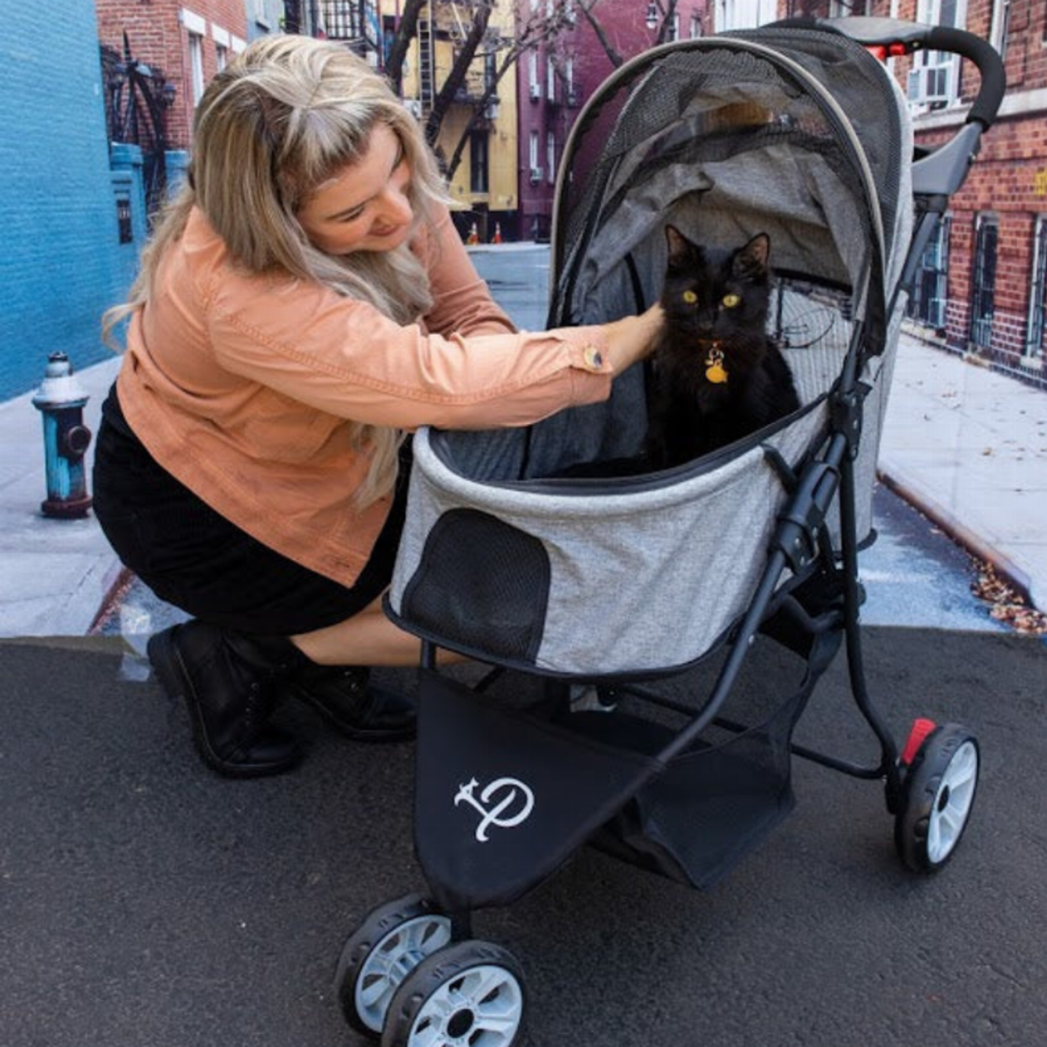 Glacier Pet Stroller Image 1